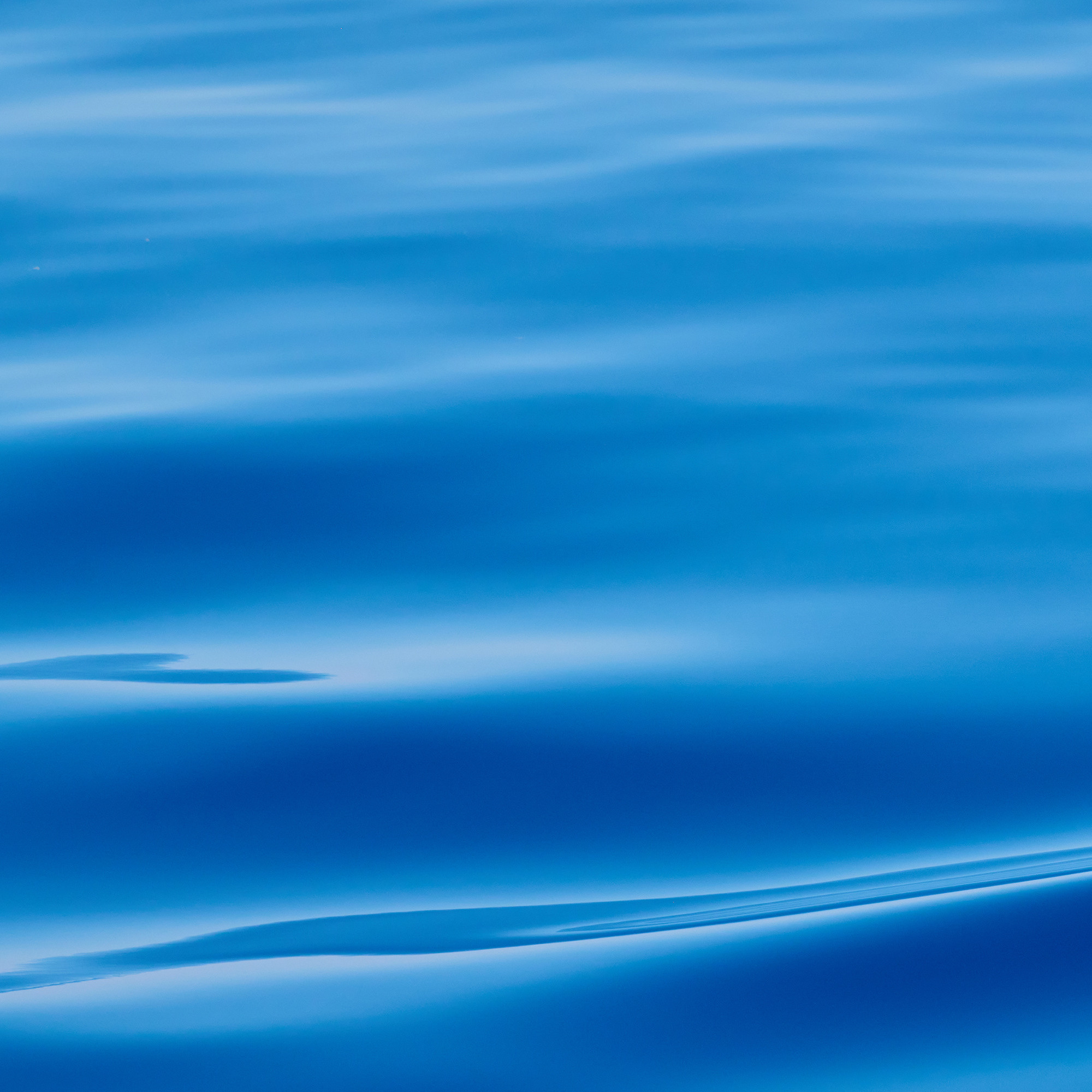 Работы, на дереве, холсте, стекле, которые можно приобрести. Яркие фото на Чёрном море