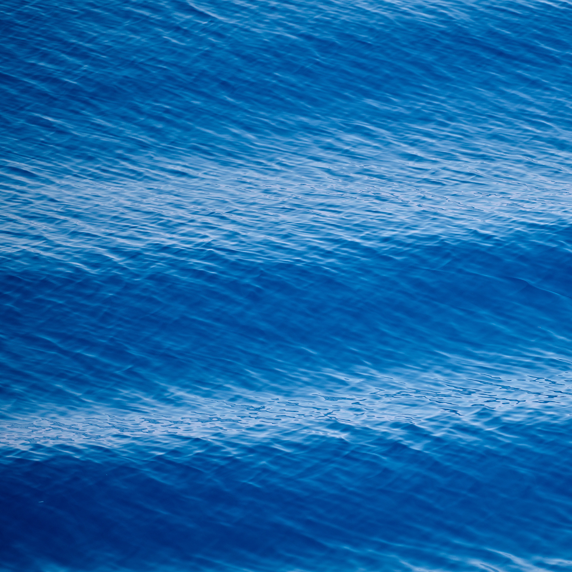 Работы, на дереве, холсте, стекле, которые можно приобрести. Яркие фото на Чёрном море