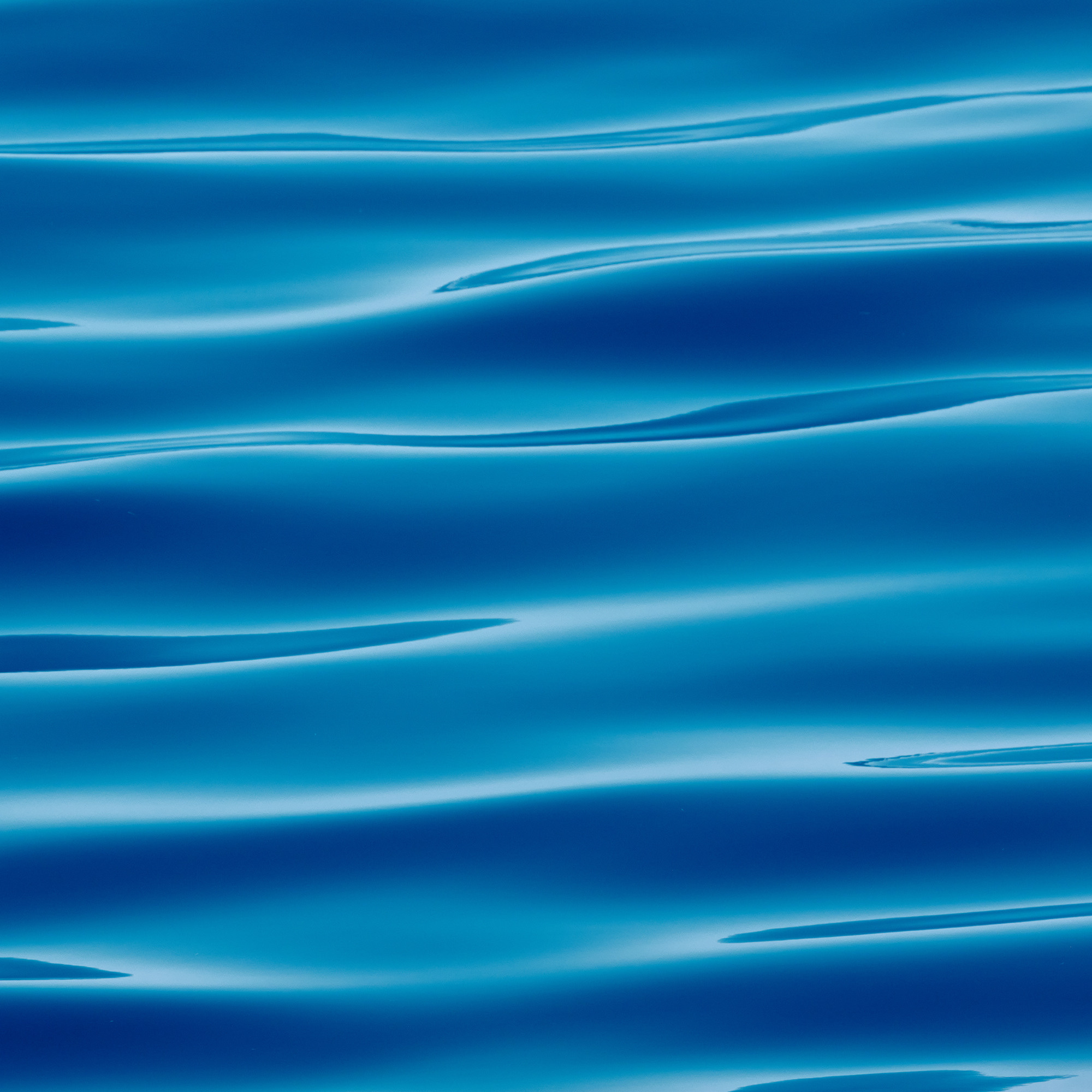 Работы, на дереве, холсте, стекле, которые можно приобрести. Яркие фото на Чёрном море