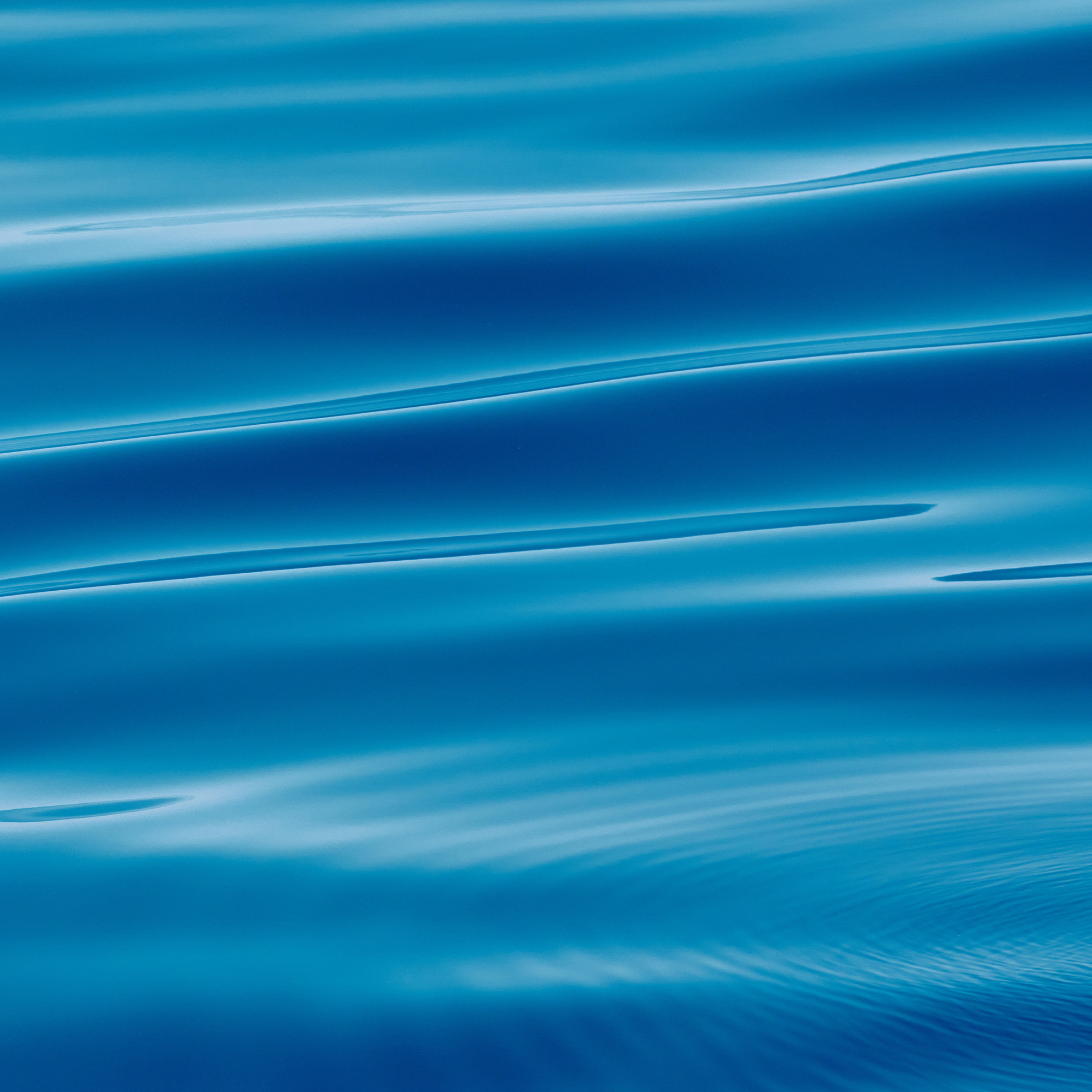 Работы, на дереве, холсте, стекле, которые можно приобрести. Яркие фото на Чёрном море