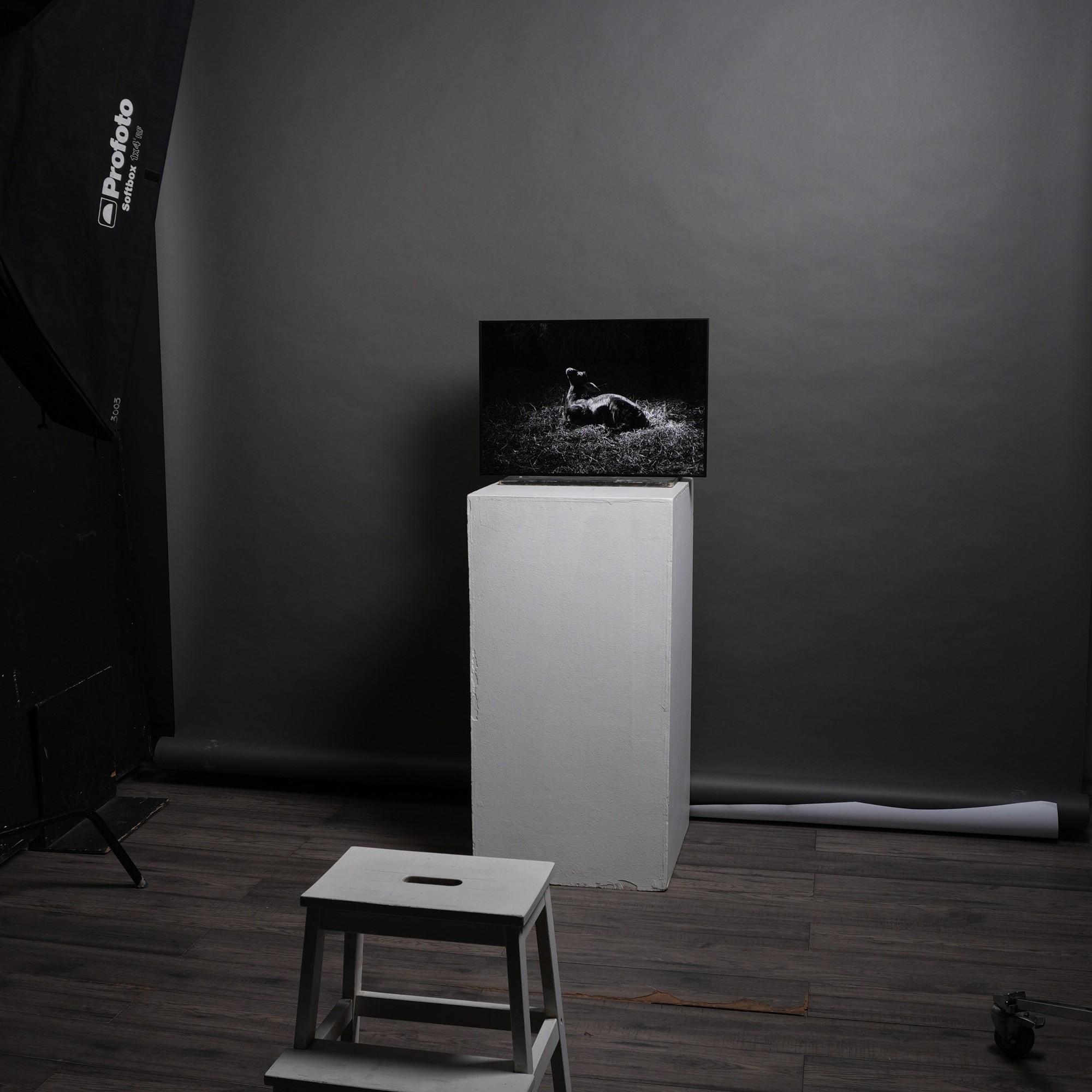 Контакты. Фотограф Гундров Эдуард