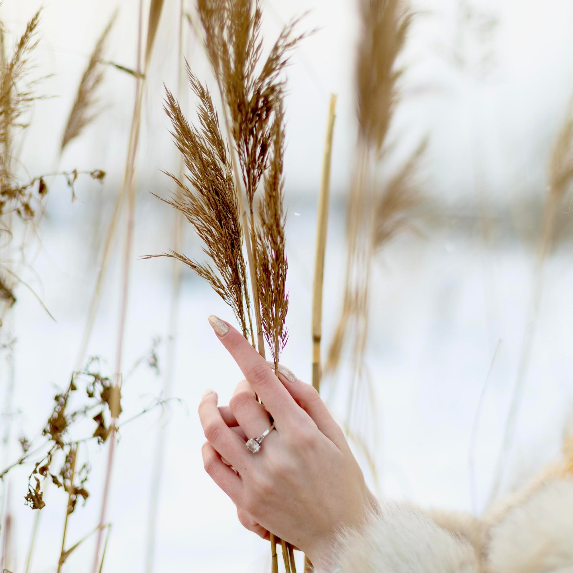 Фотопрогулка. Репортажный, семейный, свадебный фотограф Санкт-Петербург Ольга Лесюк