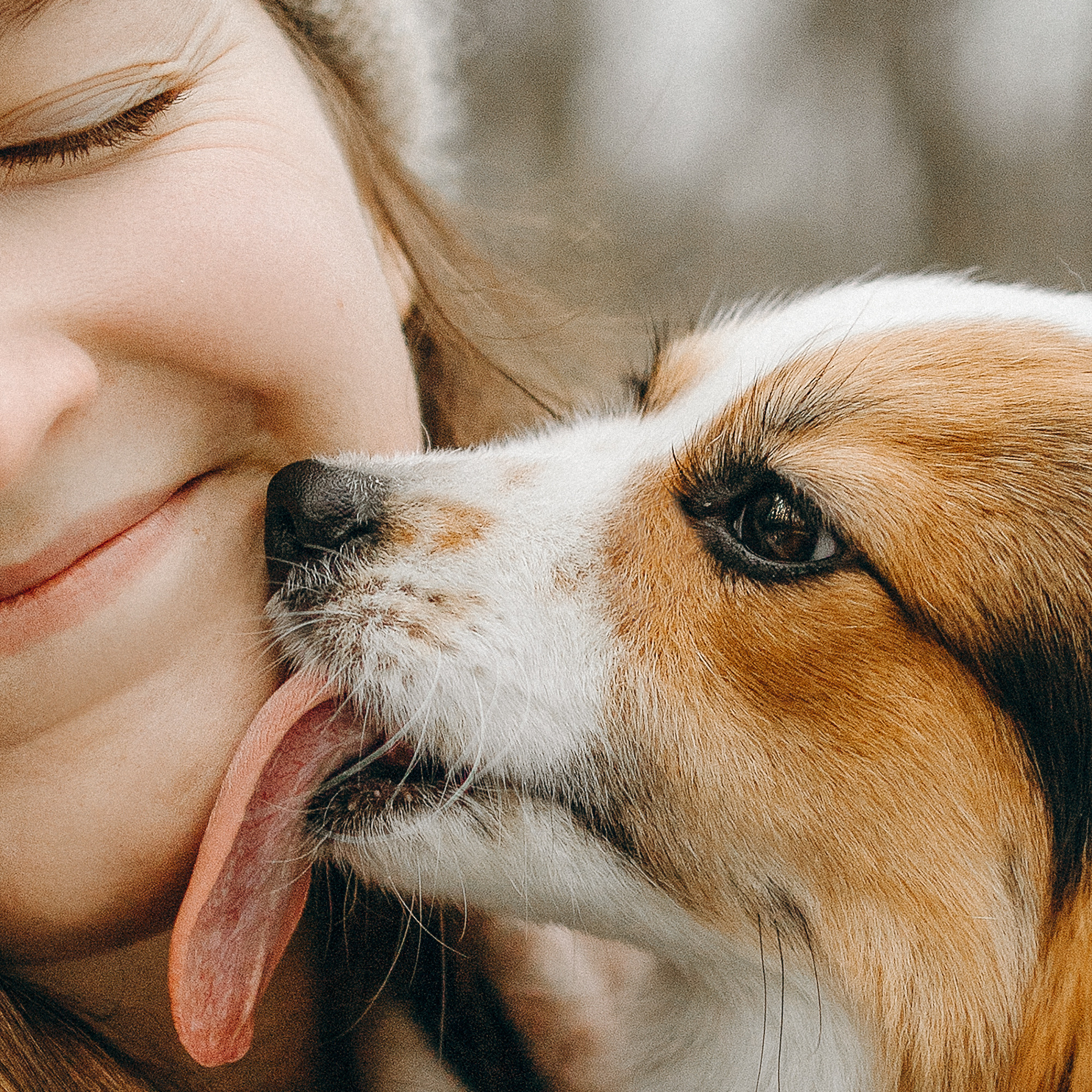 Фотограф. Фотограф-анималист. Москва