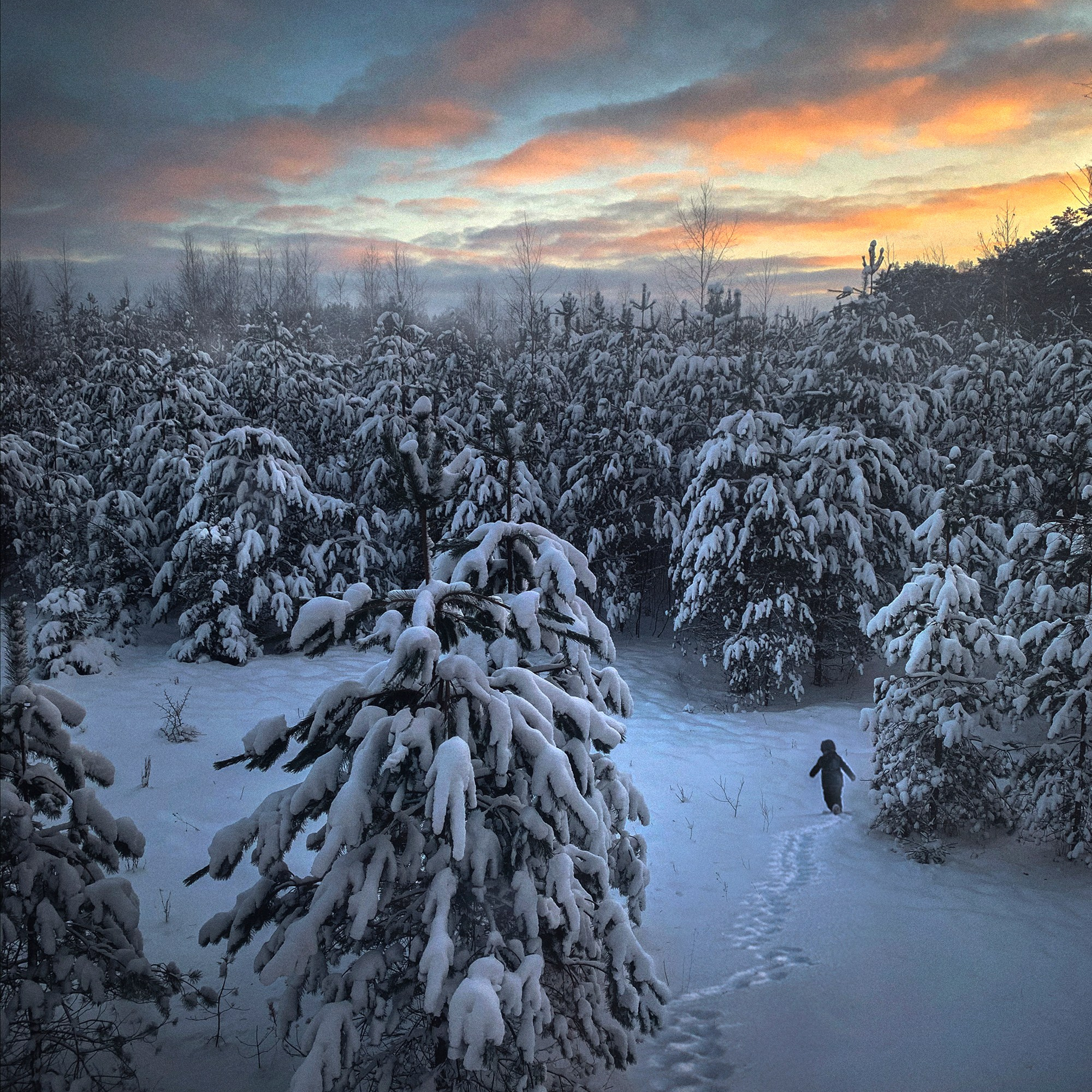 Фототур. Зима в Суздале. 2 — 4 декабря. Елена Шумилова