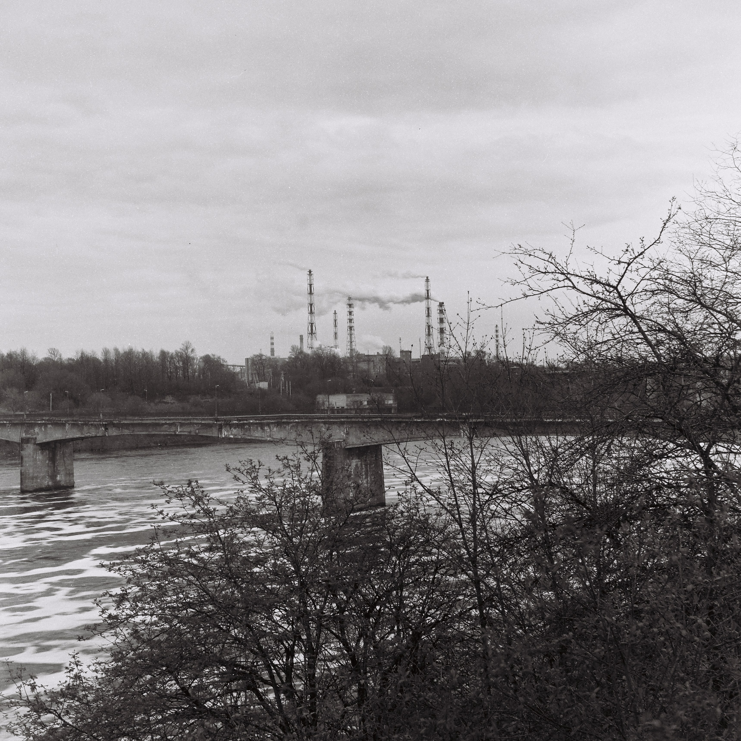 Что нужно, чтобы хорошо заварить чай, а может сделать снимок?. Роман Ходырев — эзотериолог, художник, фотограф и музыкант. Санкт-Петербург, Рига