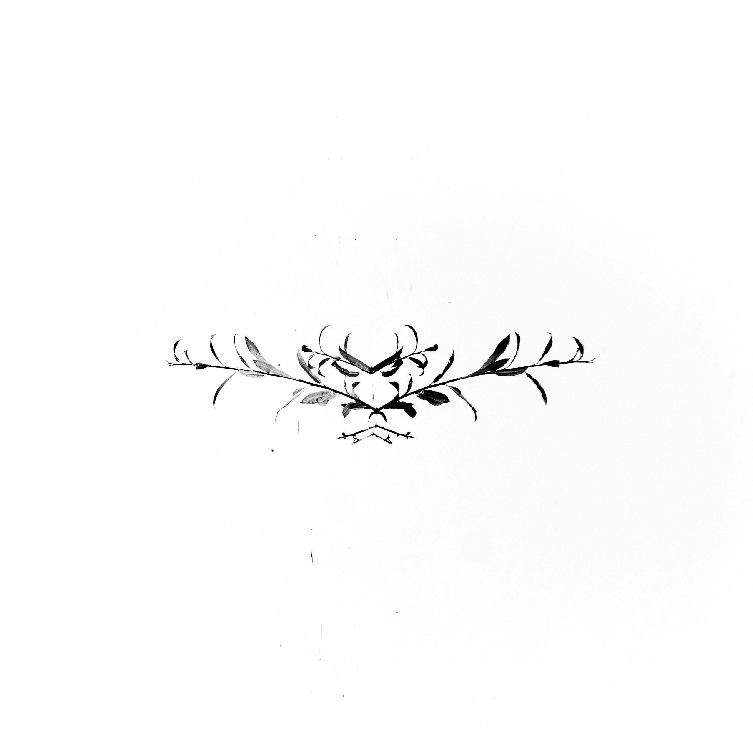 Фотострелка