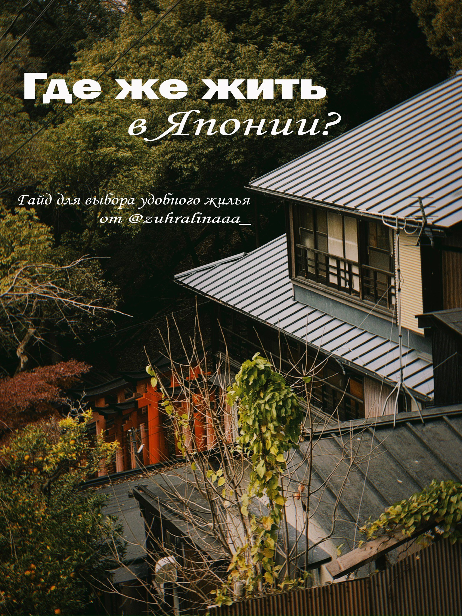 TRAVELERS: гайды, фото из путешествий, личные рекомендации