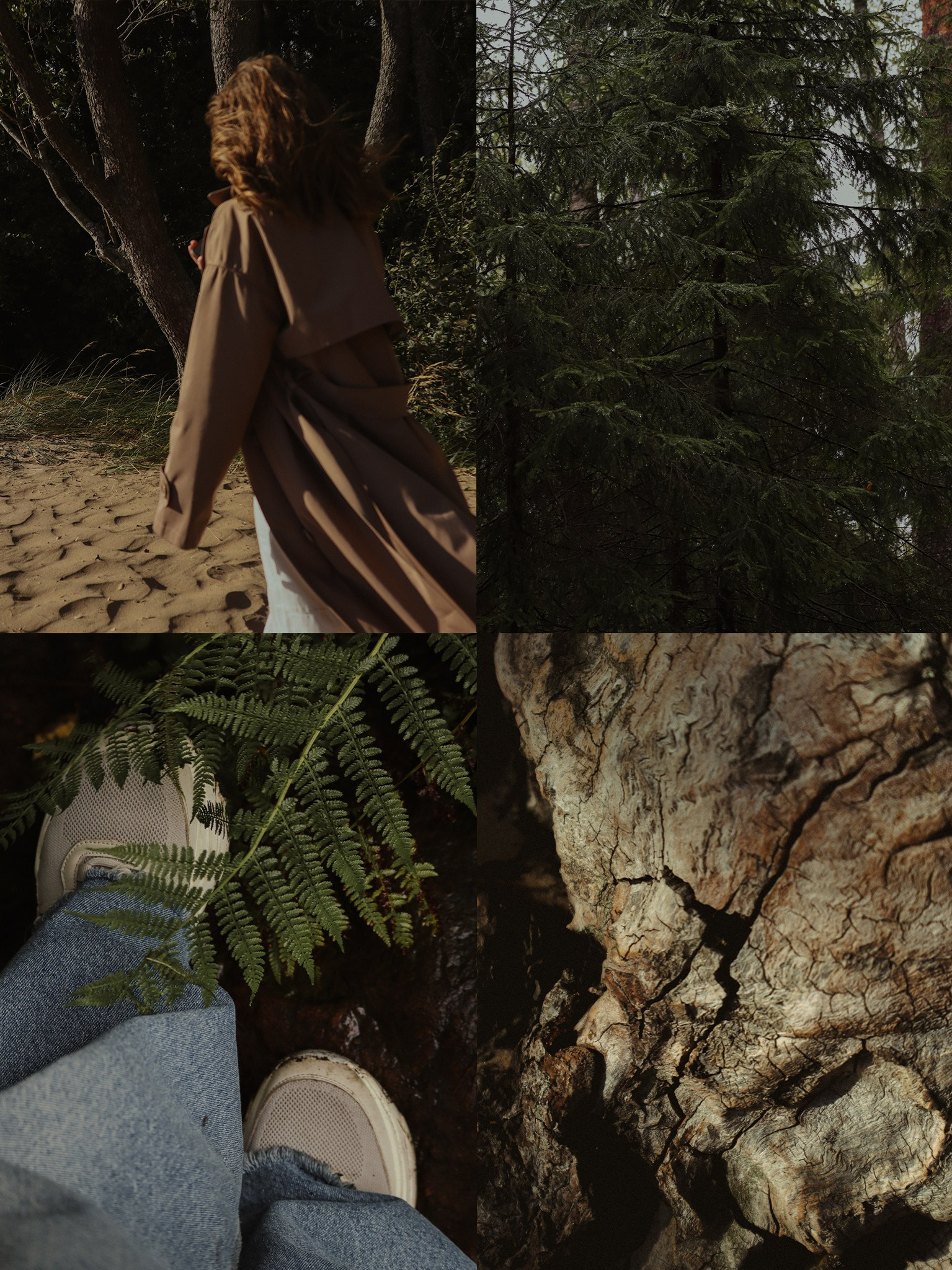 • Photo presets. Cinematic presets video/photo, visual, content creator Lina Pleshakova