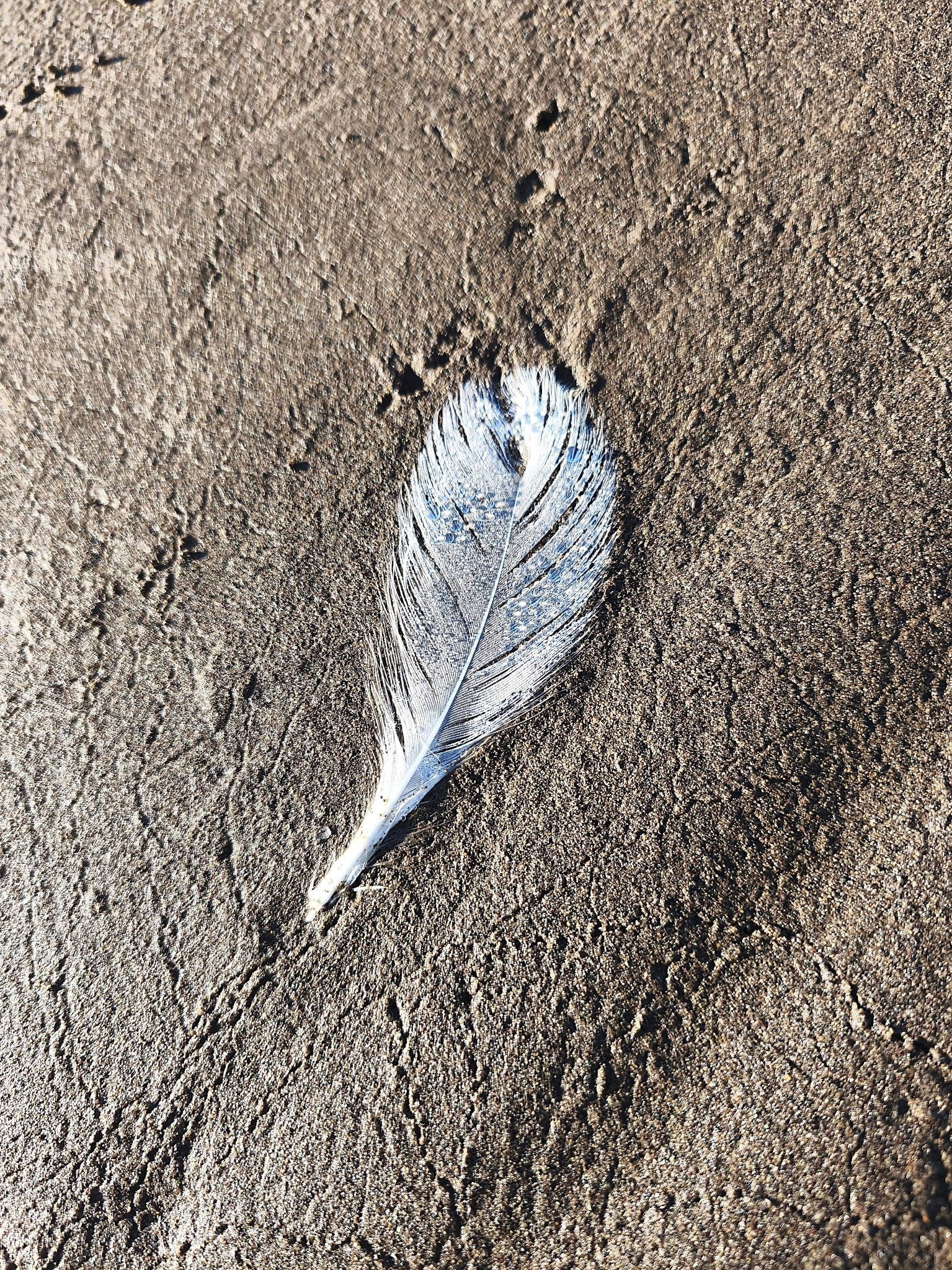 Одегова Дарья (Дарья Оши). ARTEXPOPHOTO