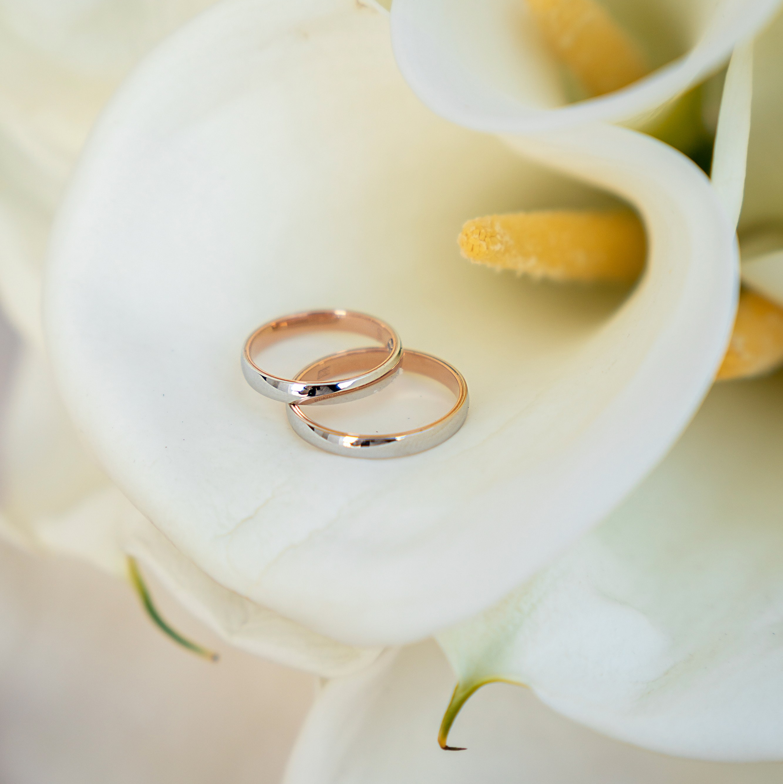 Фотограф в Краснодаре и Краснодарском крае Елена Быкова