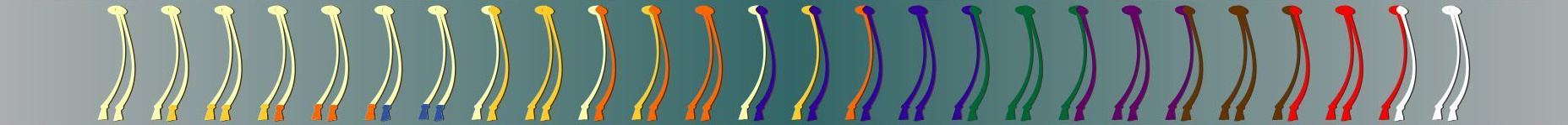 Система поясов. Капоэйра в Казани ABADÁ-Capoeira