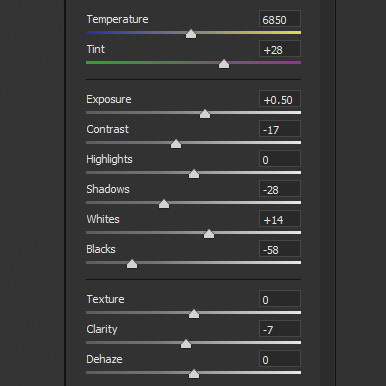Обучение. Съемка фото и видео контента. Михаил Руденко