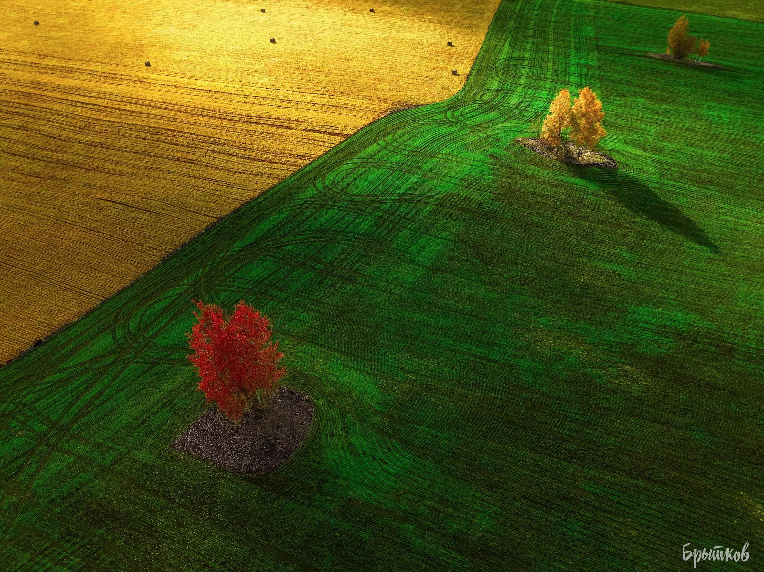 Желто-зеленые осенние поля. Николай Брытков — фотограф в Туле