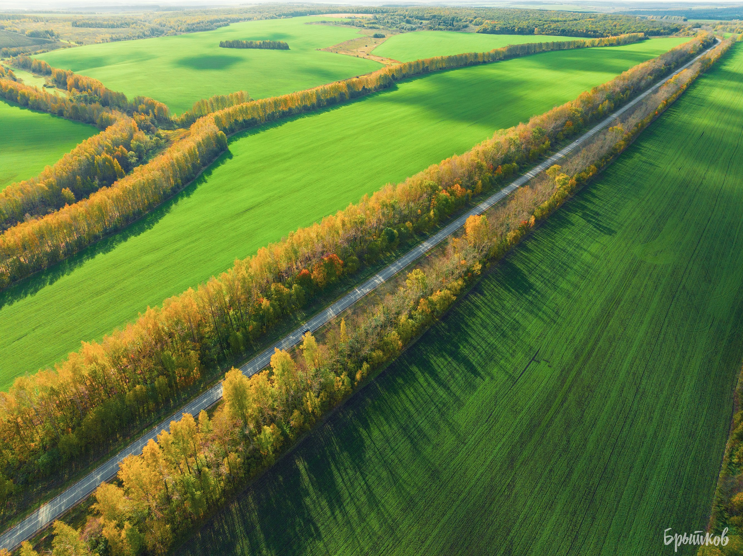 Желто-зеленые осенние поля. Николай Брытков — фотограф в Туле