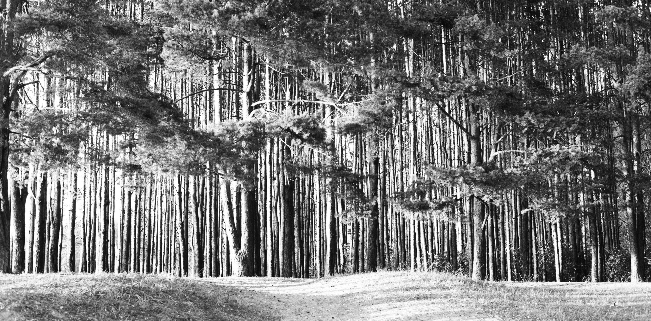Журавлев Семен. Организация фотовыставок в Петербурге и Москве, MFamilia (МФамилия)