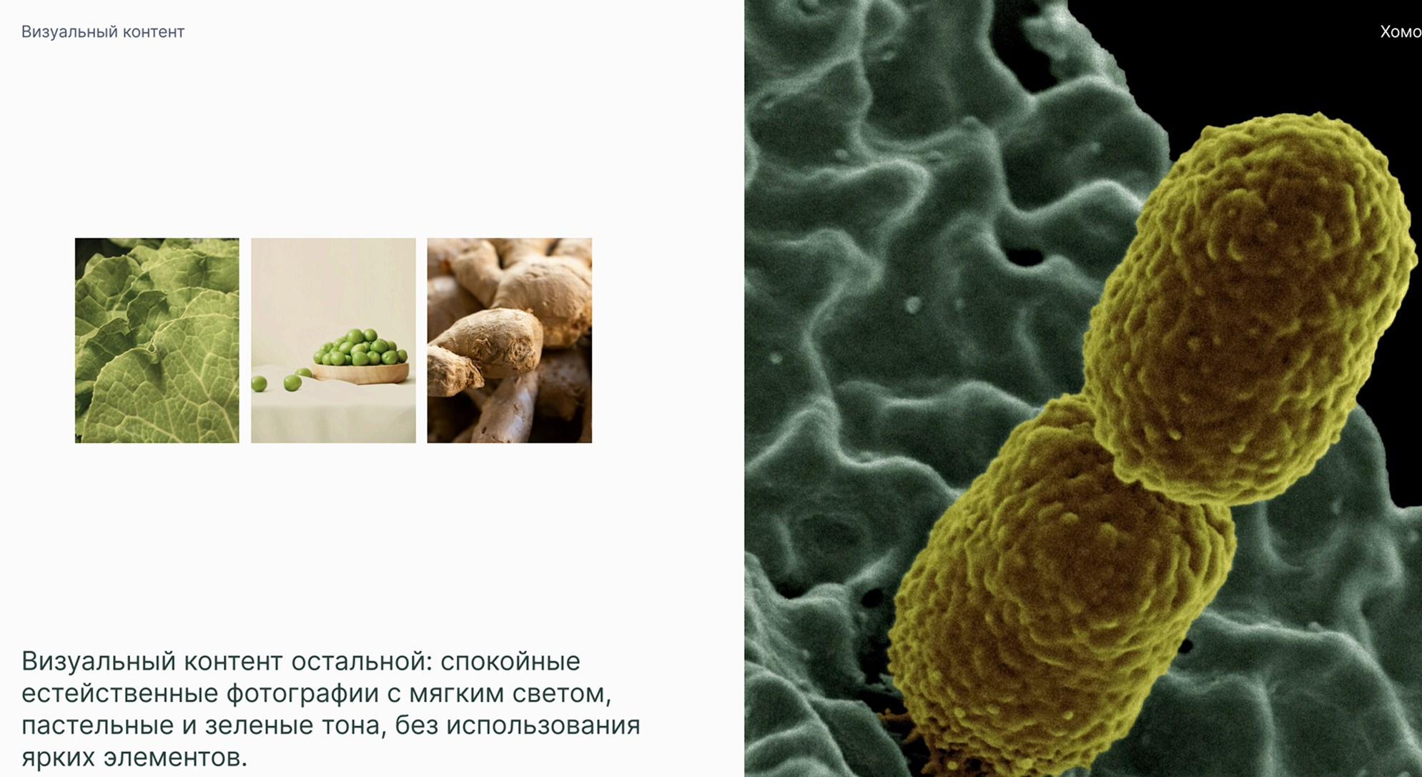 HomoSporin. Студия рекламной и предметной съемки товаров WELKO Studio