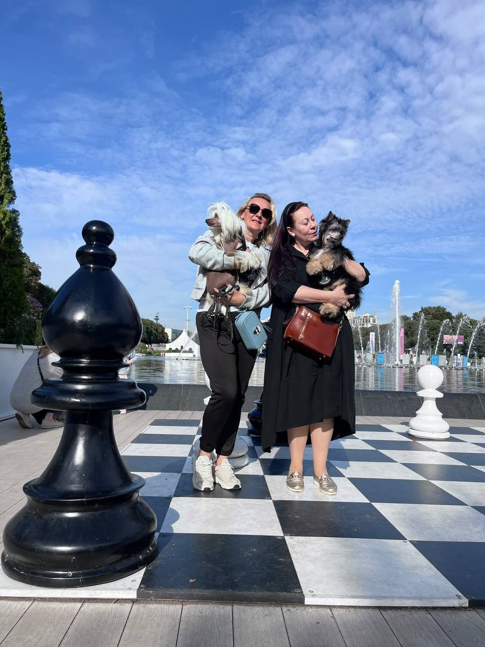 Moscow’s birthday!. Chinese Crested Dog Kennel Poale Ell