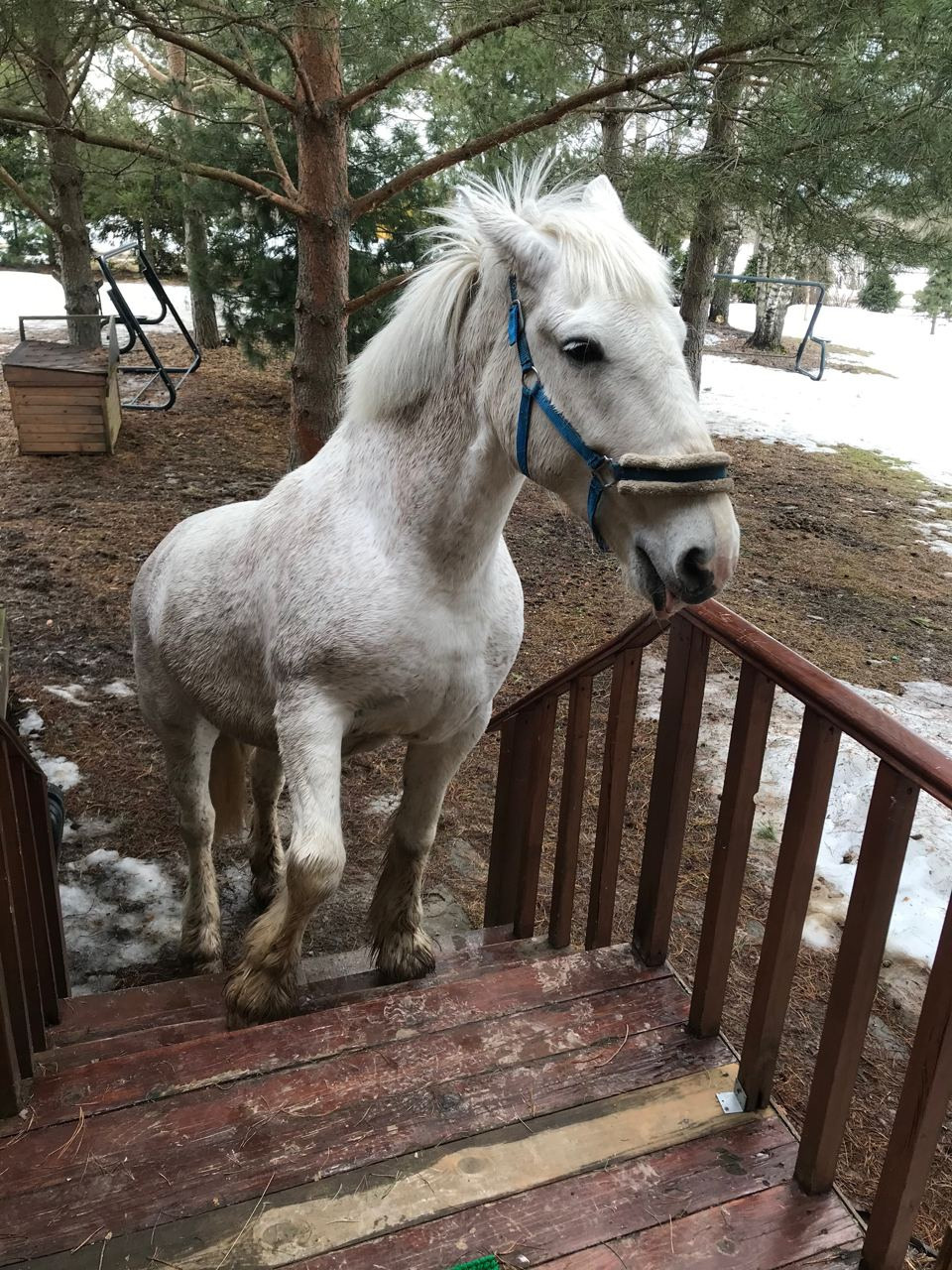 Команда экофермы Марии Гиппенрейтер. Эко отдых в Подмосковье в эко-отеле Марии Гиппенрейтер