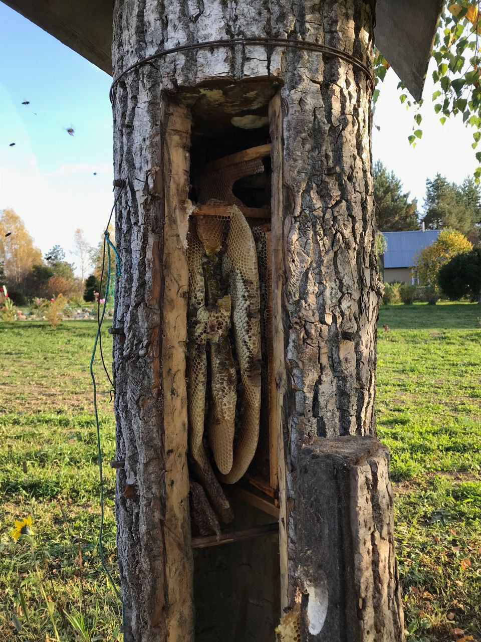 Пасека экофермы и работы на ней. Эко отдых в Подмосковье в эко-отеле Марии Гиппенрейтер