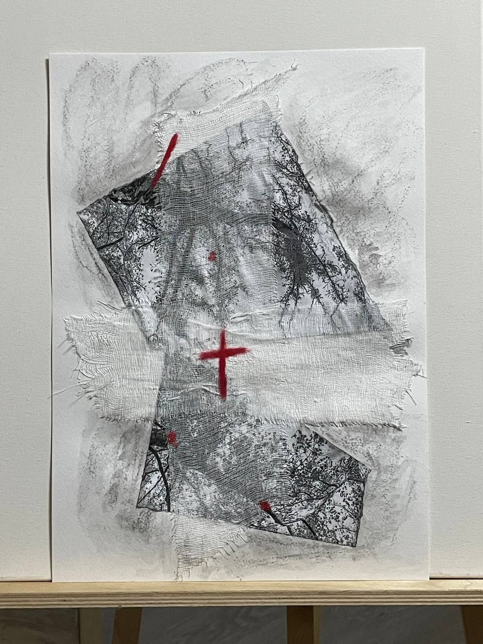 Power lines. Visual artist, photographer Liana Darenskaya, Moscow