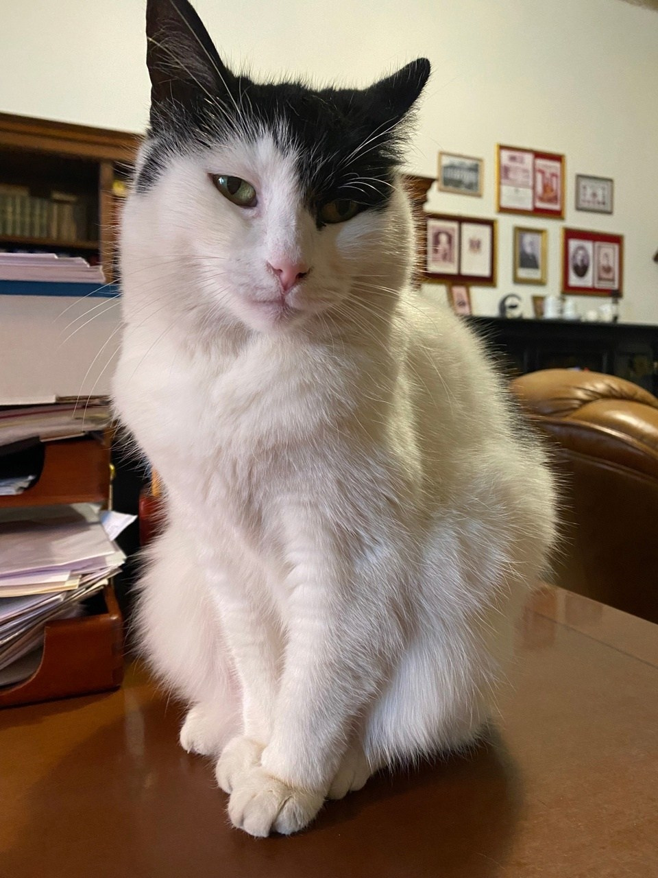 Новости. Дом Шрёдера