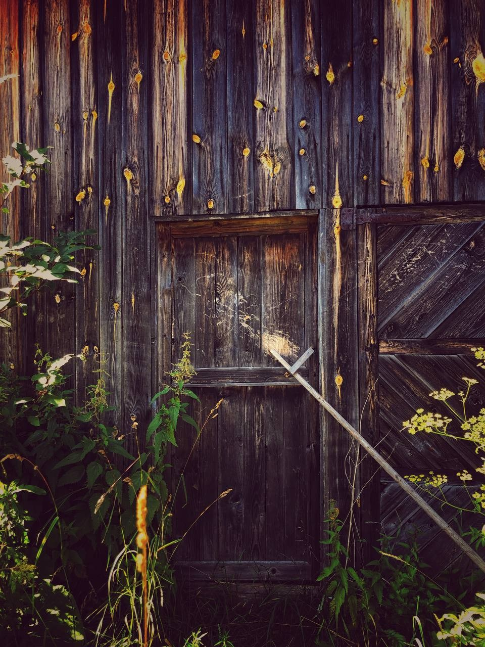 Фотопрактика. Фотограф Блинова Арина | Санк-Петербург