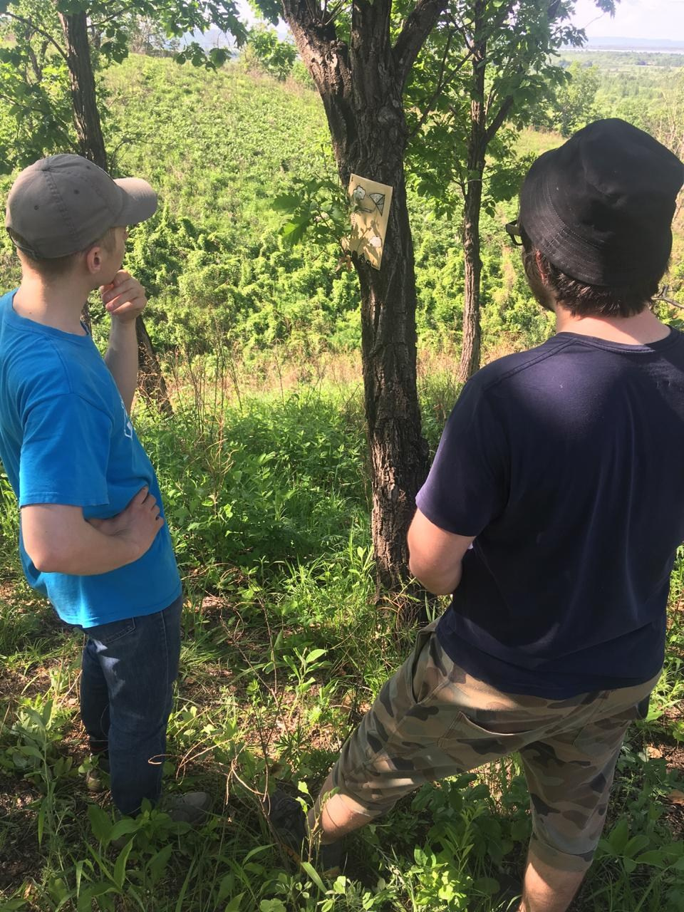 Локация № 1. Художник Рыбак Николай