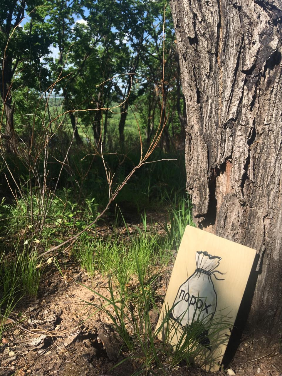 Локация № 1. Художник Рыбак Николай