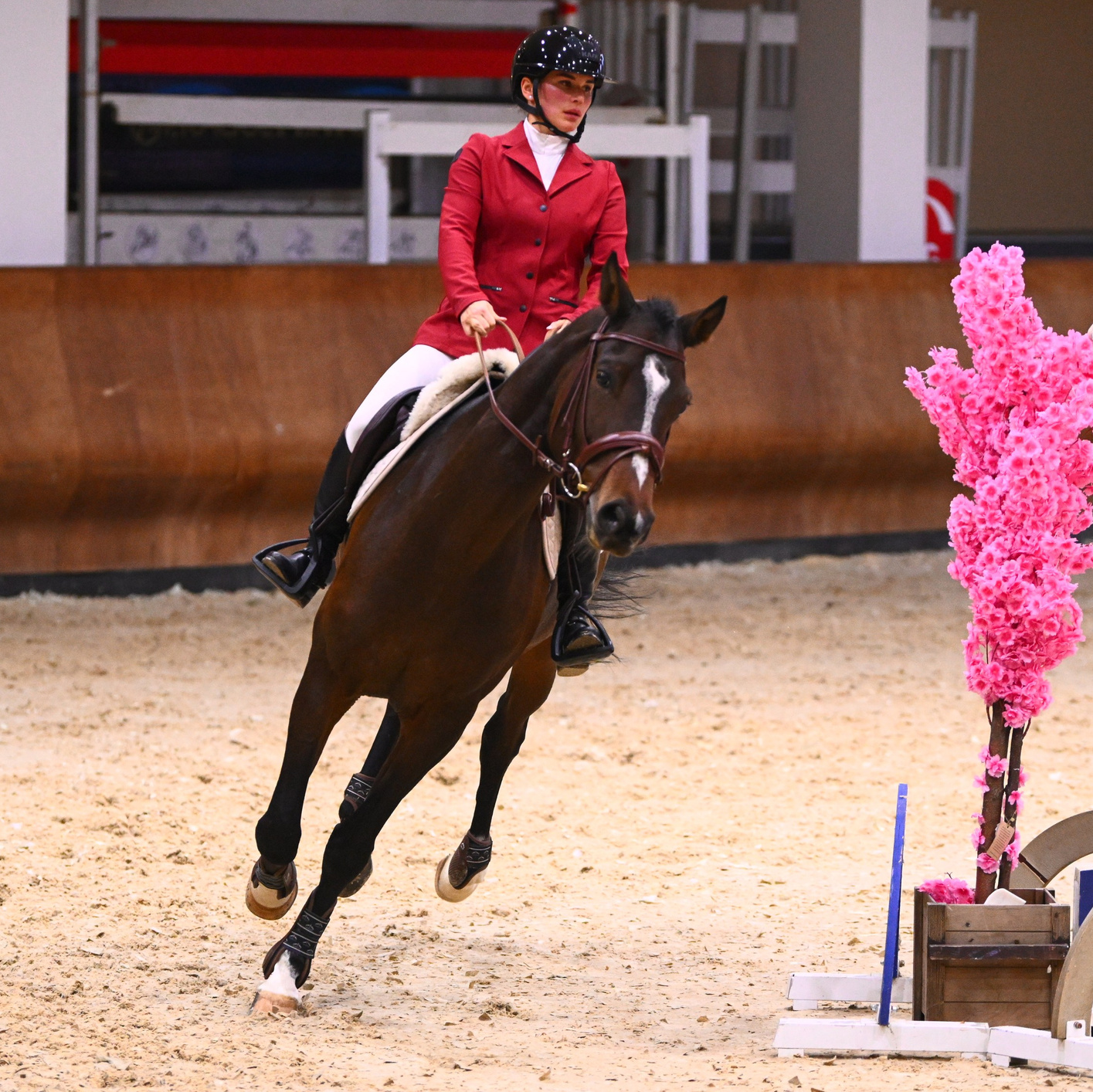 2025.10.25 — КСК Виват, Россия!. ТУРНИРНАЯ КОННАЯ ФОТОГРАФИЯ, Руднева Ольга и Евгений Адеев