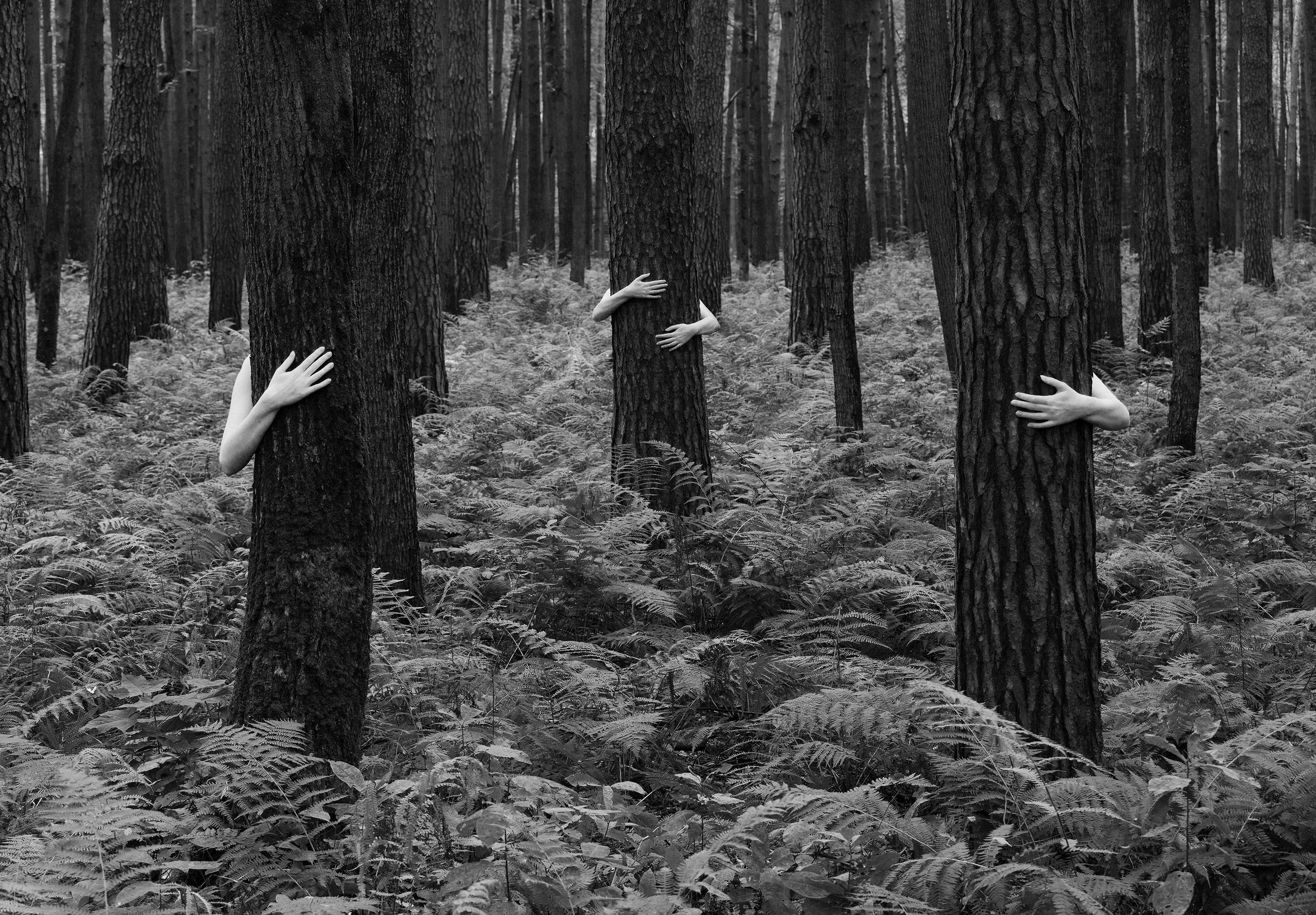 Работы. Портретный фотограф в Москве Андрей Троицкий