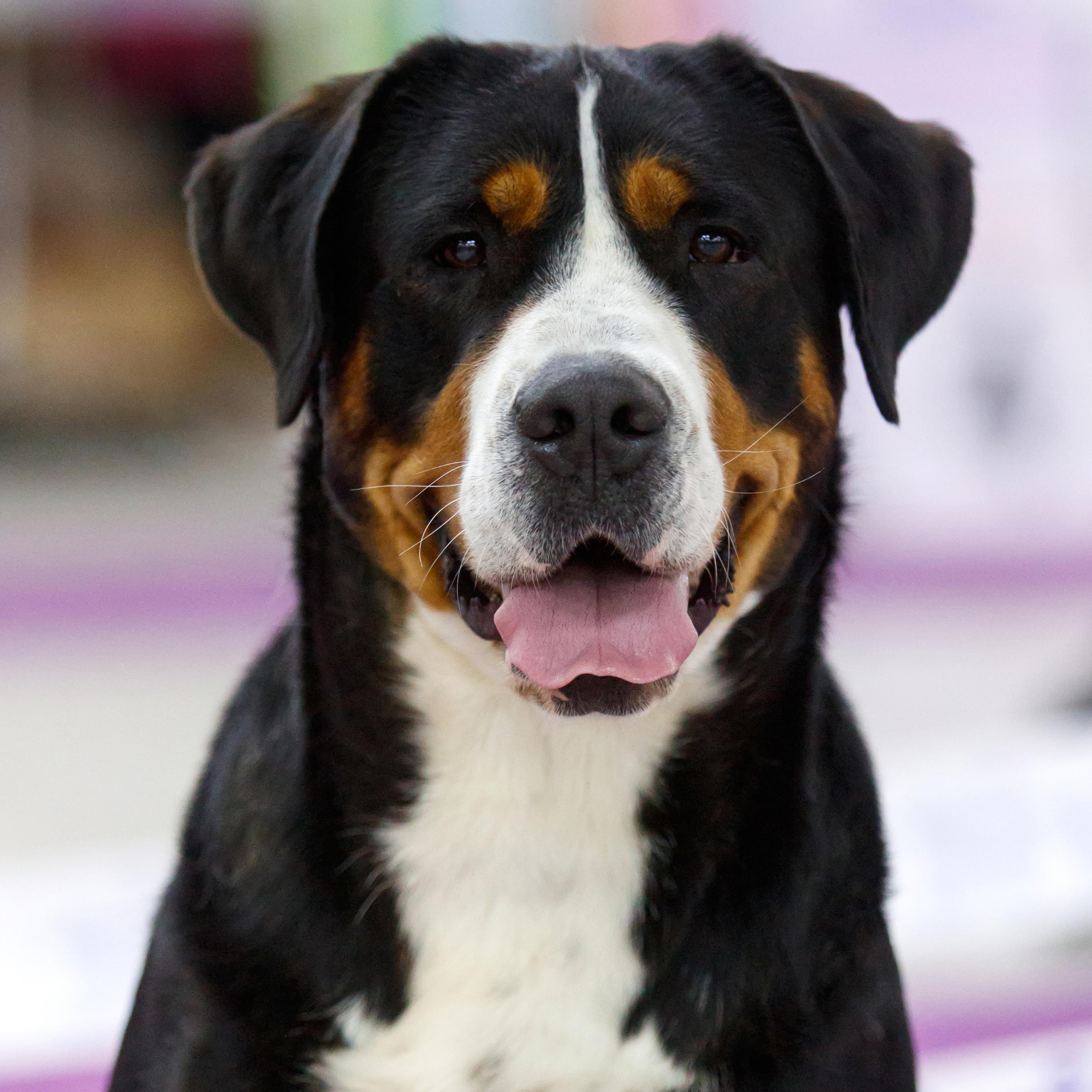 Санбёдс Серафима