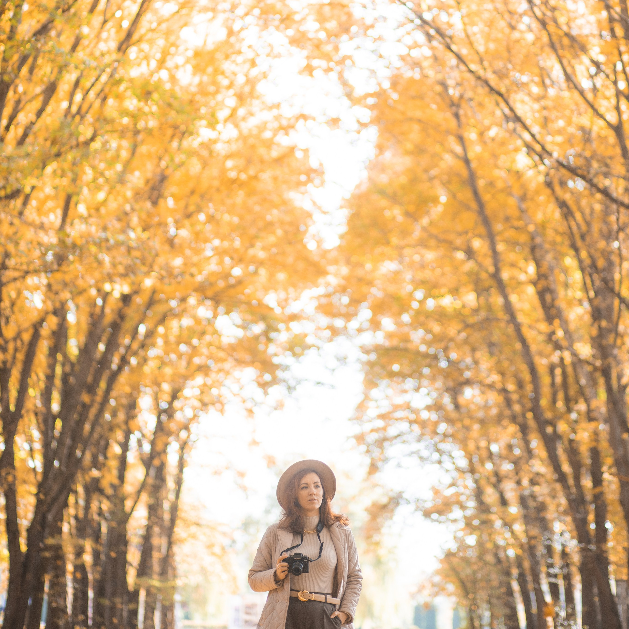 Мой вдохновляющий список дел на ноябрь. Фотограф и искусствовед в Туле и Санкт-Петербурге Нелли Некрасова