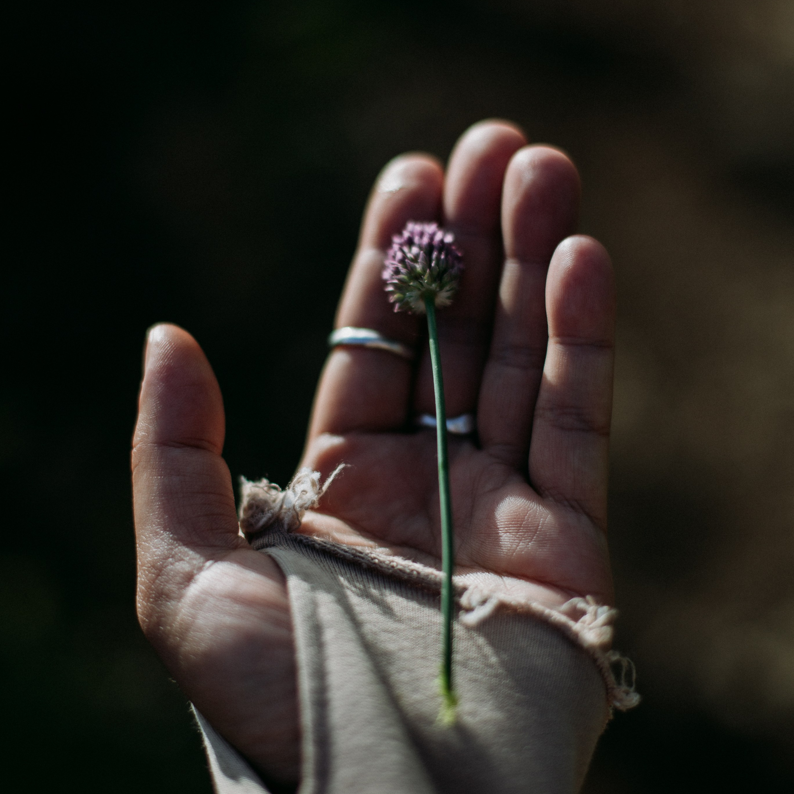 Контакты. Мастерская шаманских бубнов и погремушек «Дороги ветра»