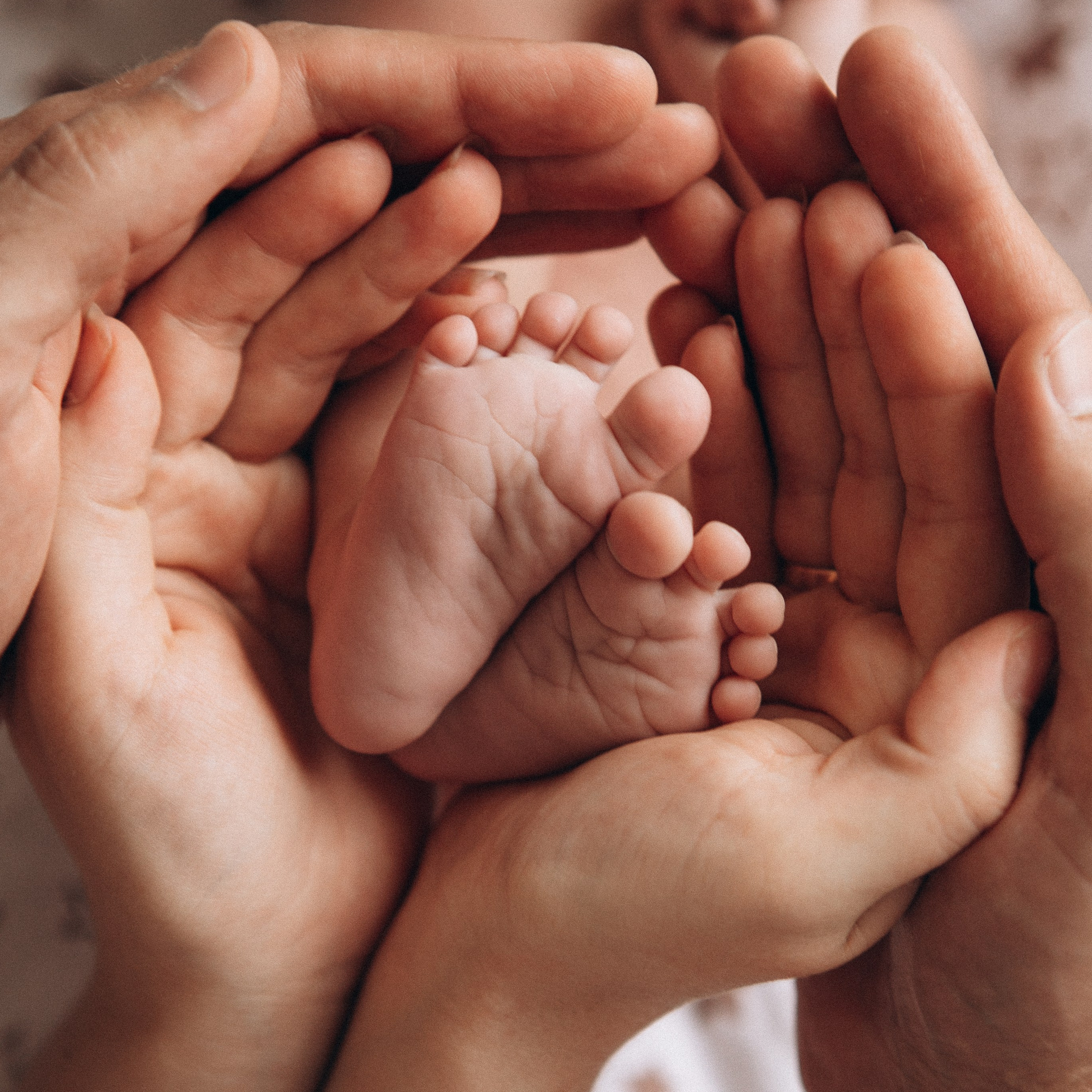 Услуги. Контент фотограф, съемка для маркетплейсов, фуд съемка и репортажи в Новосибирске Ралия Галеева