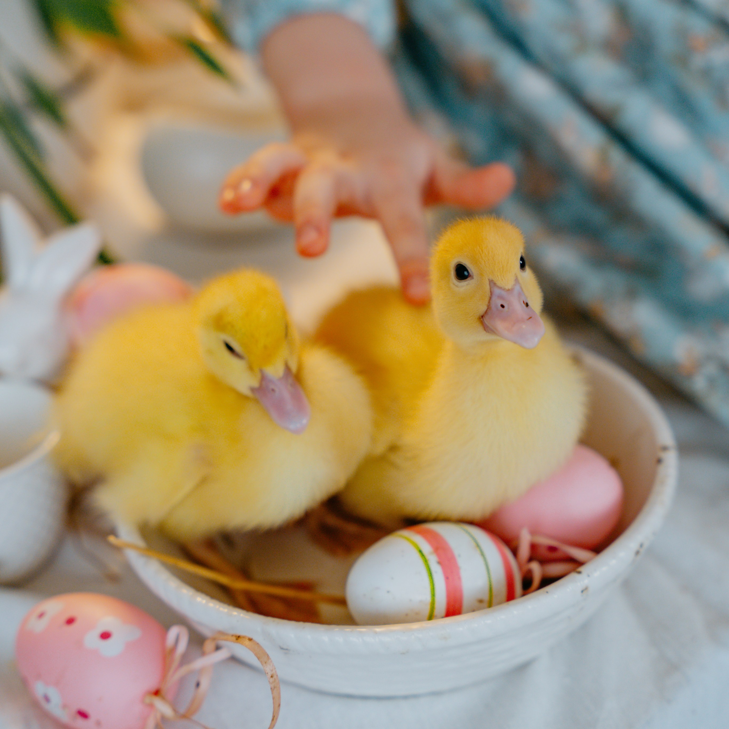 Проект «Счастливая Пасха»