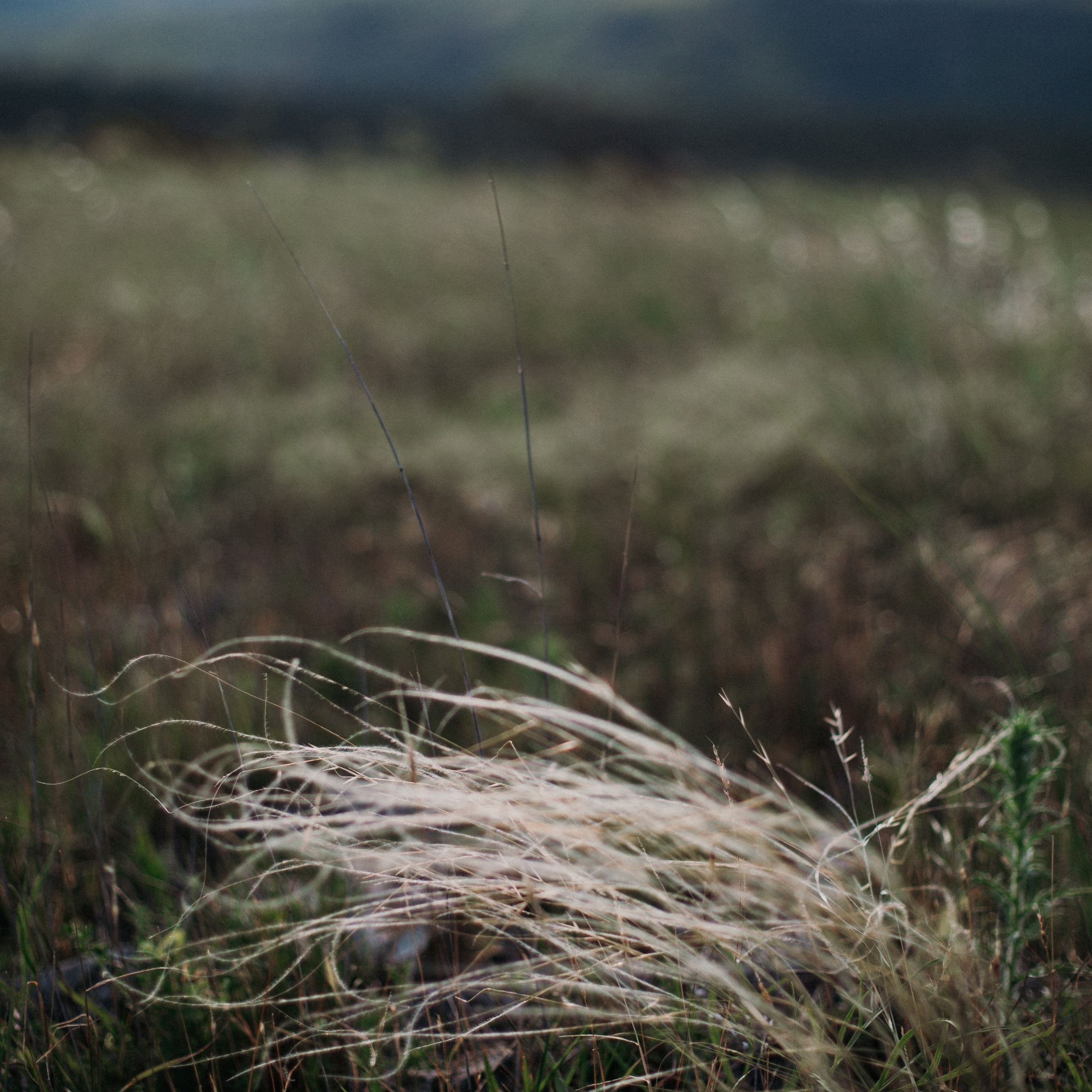 Услуги. Психолог Кирилл Вахитов