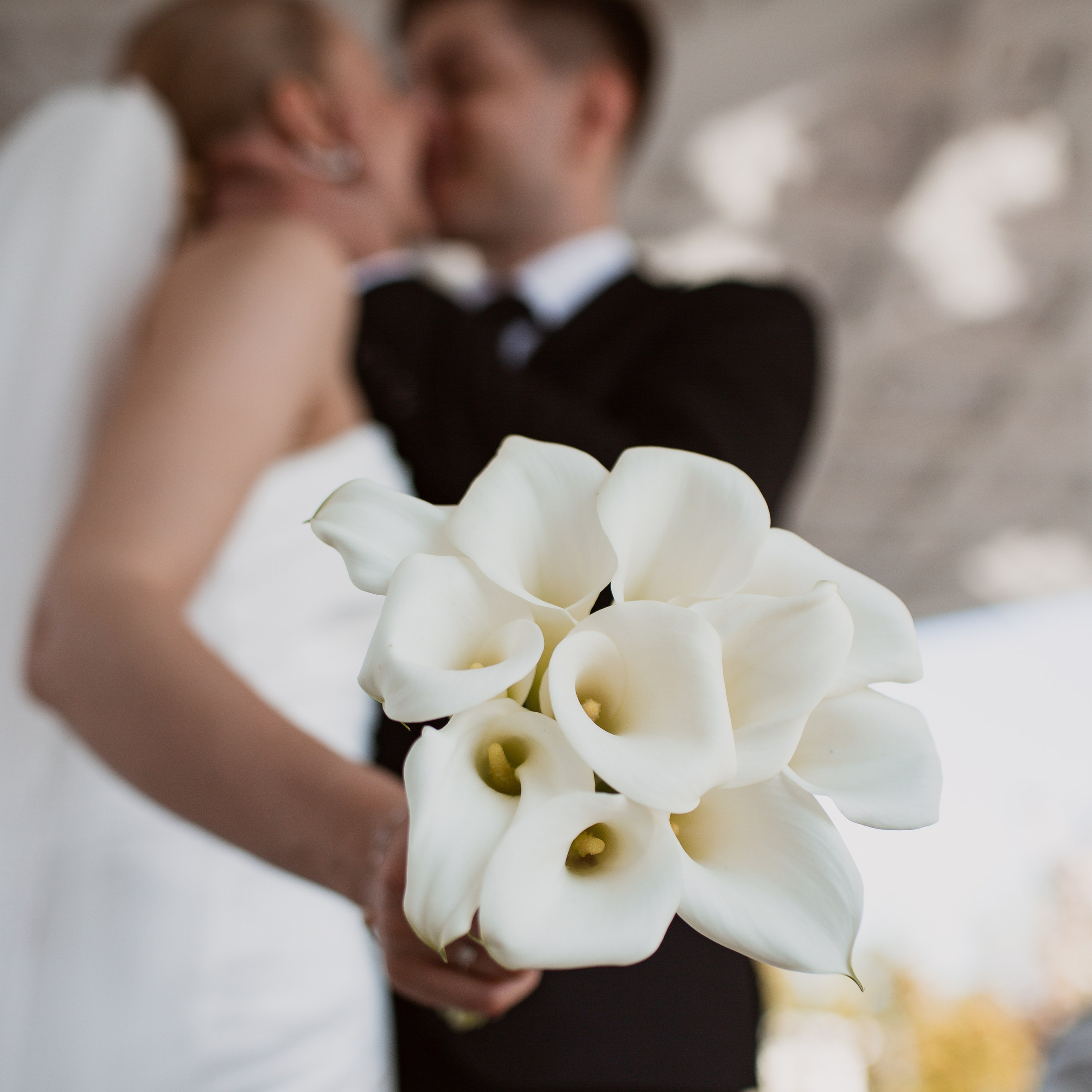 Услуги. Свадебный и Семейный фотограф в Москве Александра Вайпер