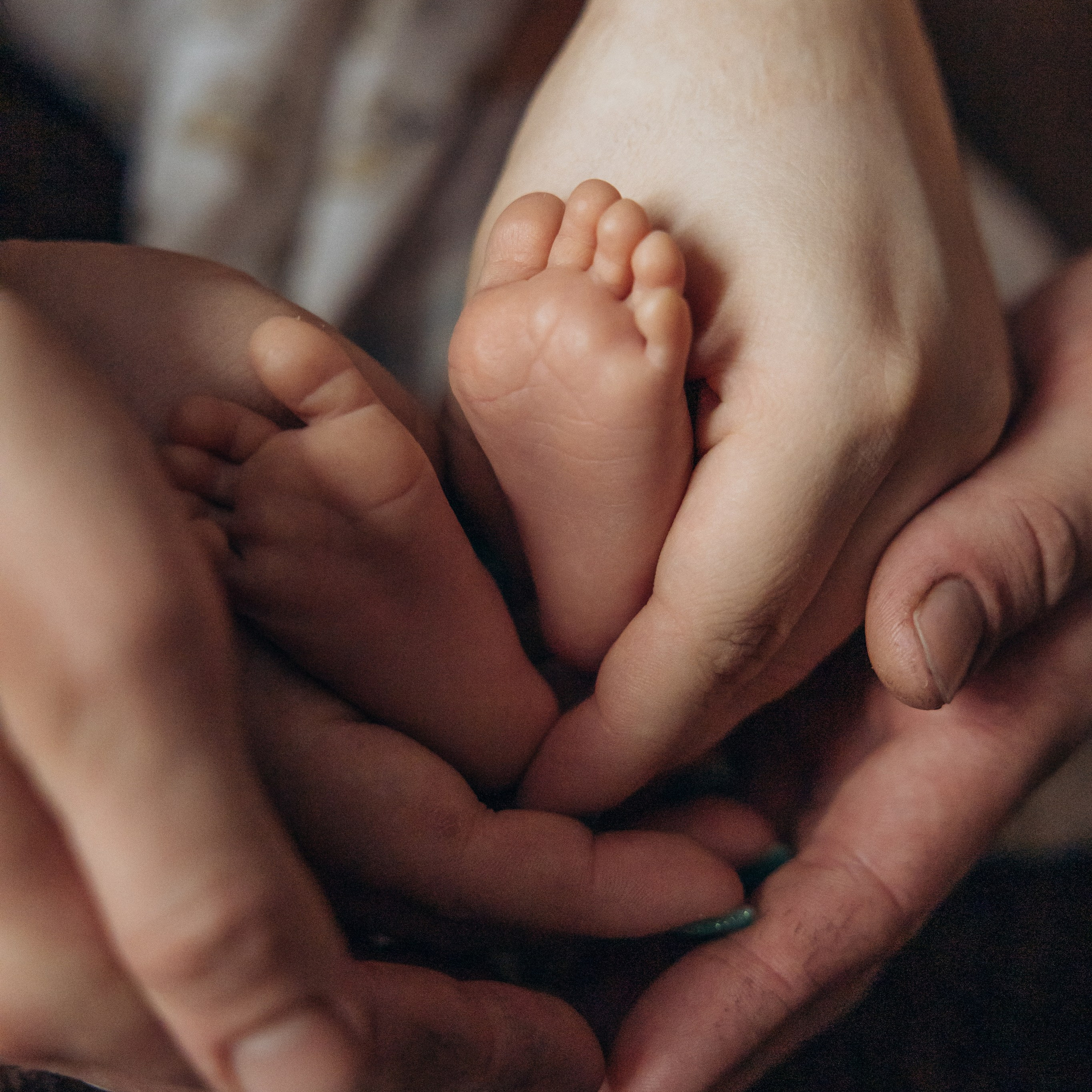 Стоимость. Свадебный фотограф в Тольятти Валерия Барышкина