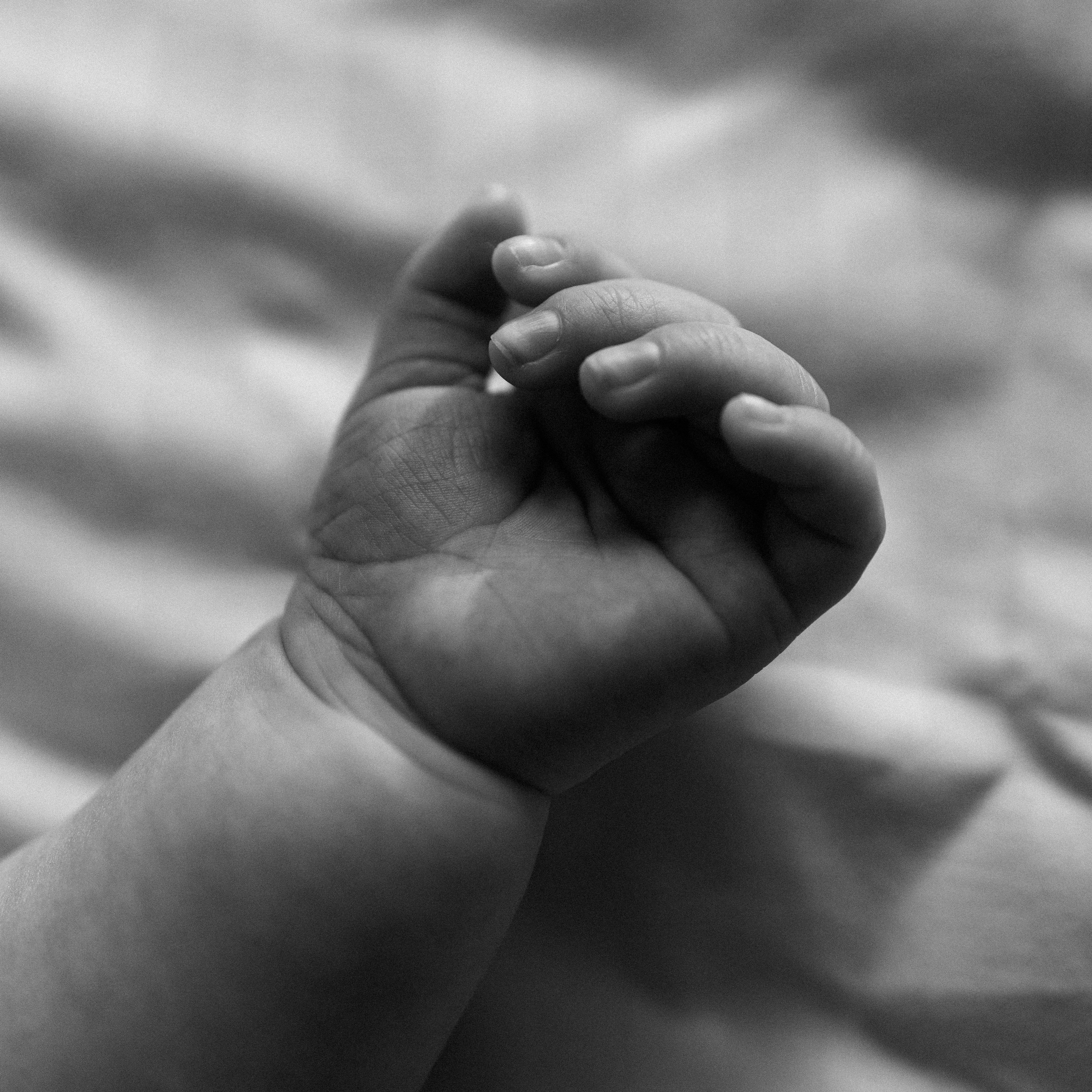 Услуги. Черемнова Анастасия фотограф Новосибирск