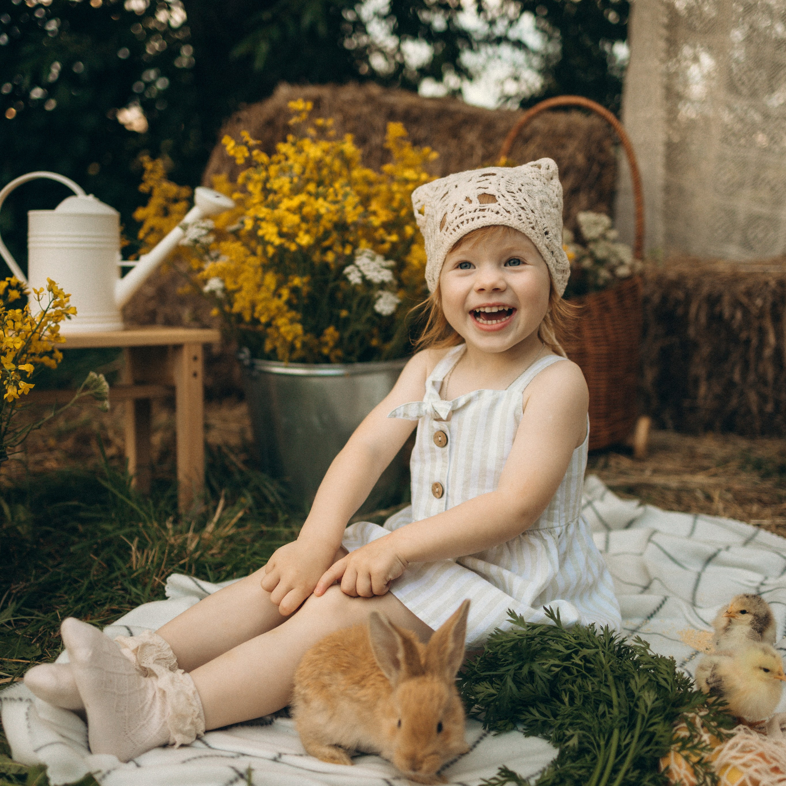 Условия и прайс