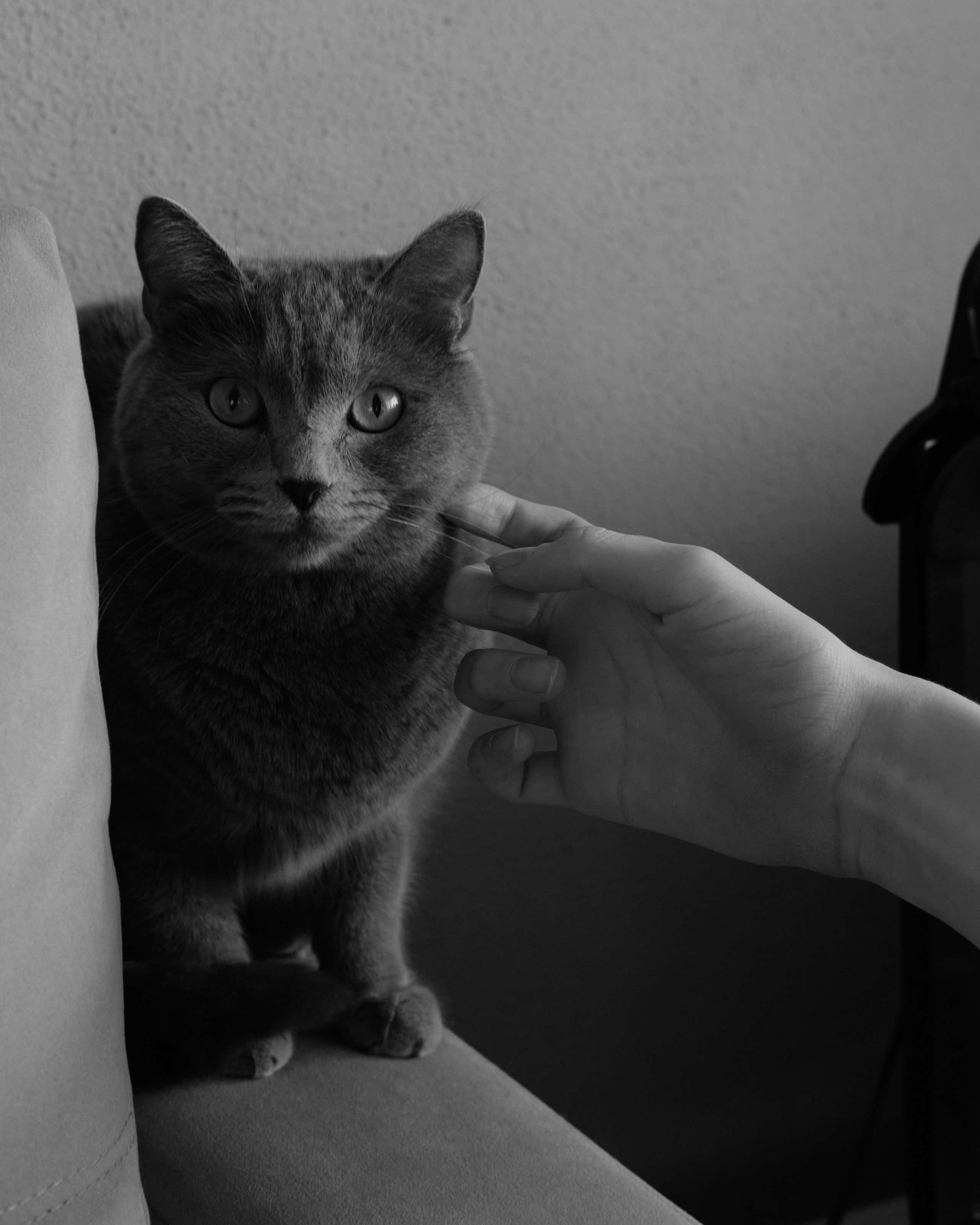 Интервью с Вадимом Евсюковым. Артём Кузнецов, фотограф, Новосибирск