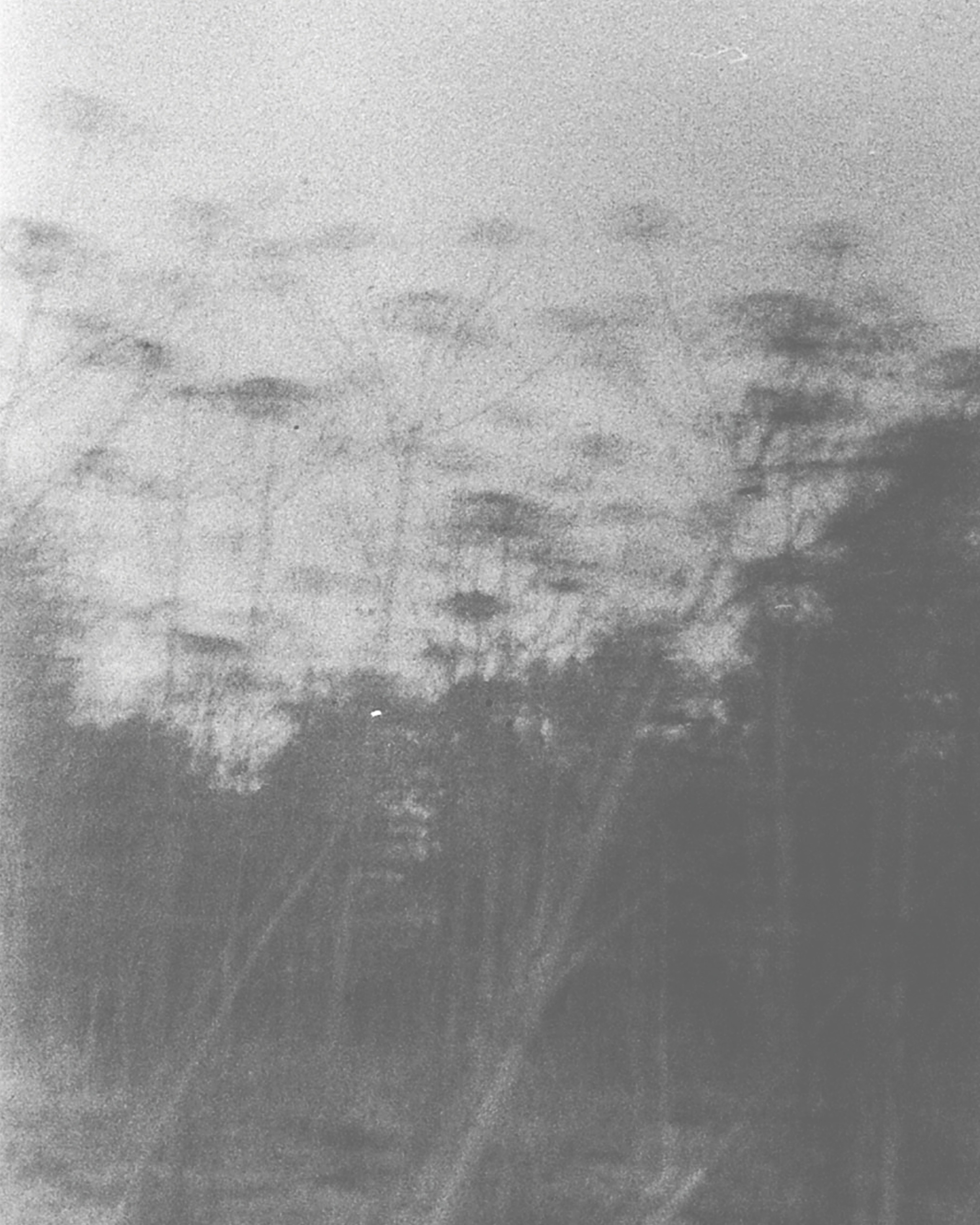 Trinity (2023 — in progress). Julia Gorbunova