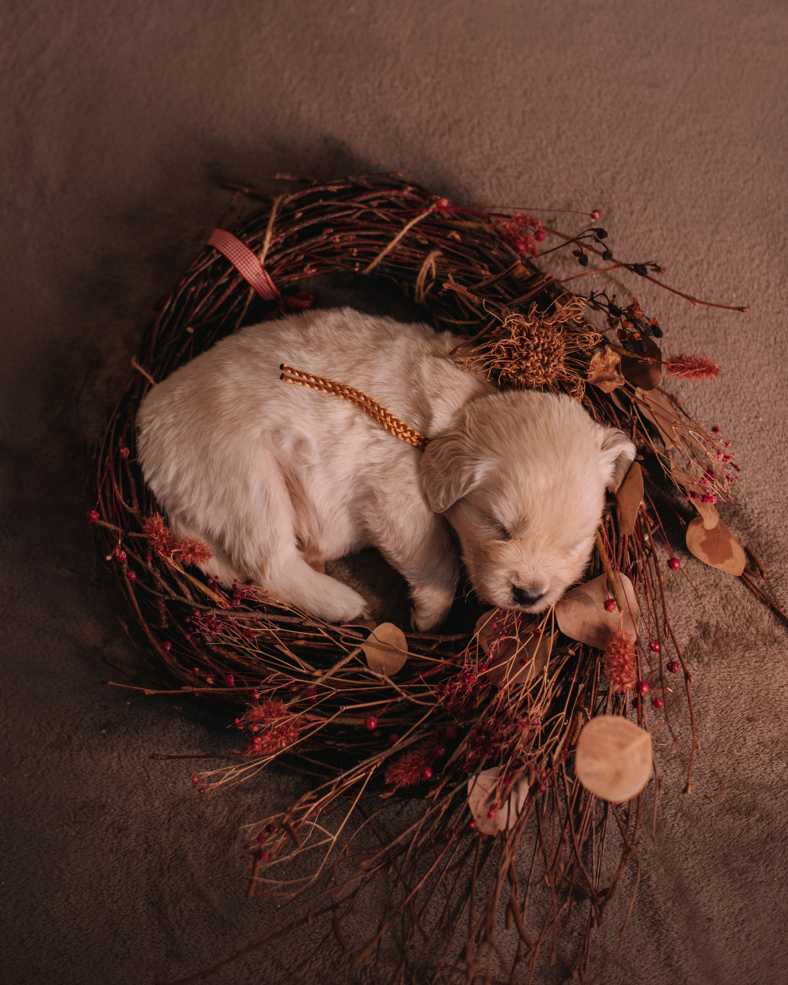 Прайс. Портфолио