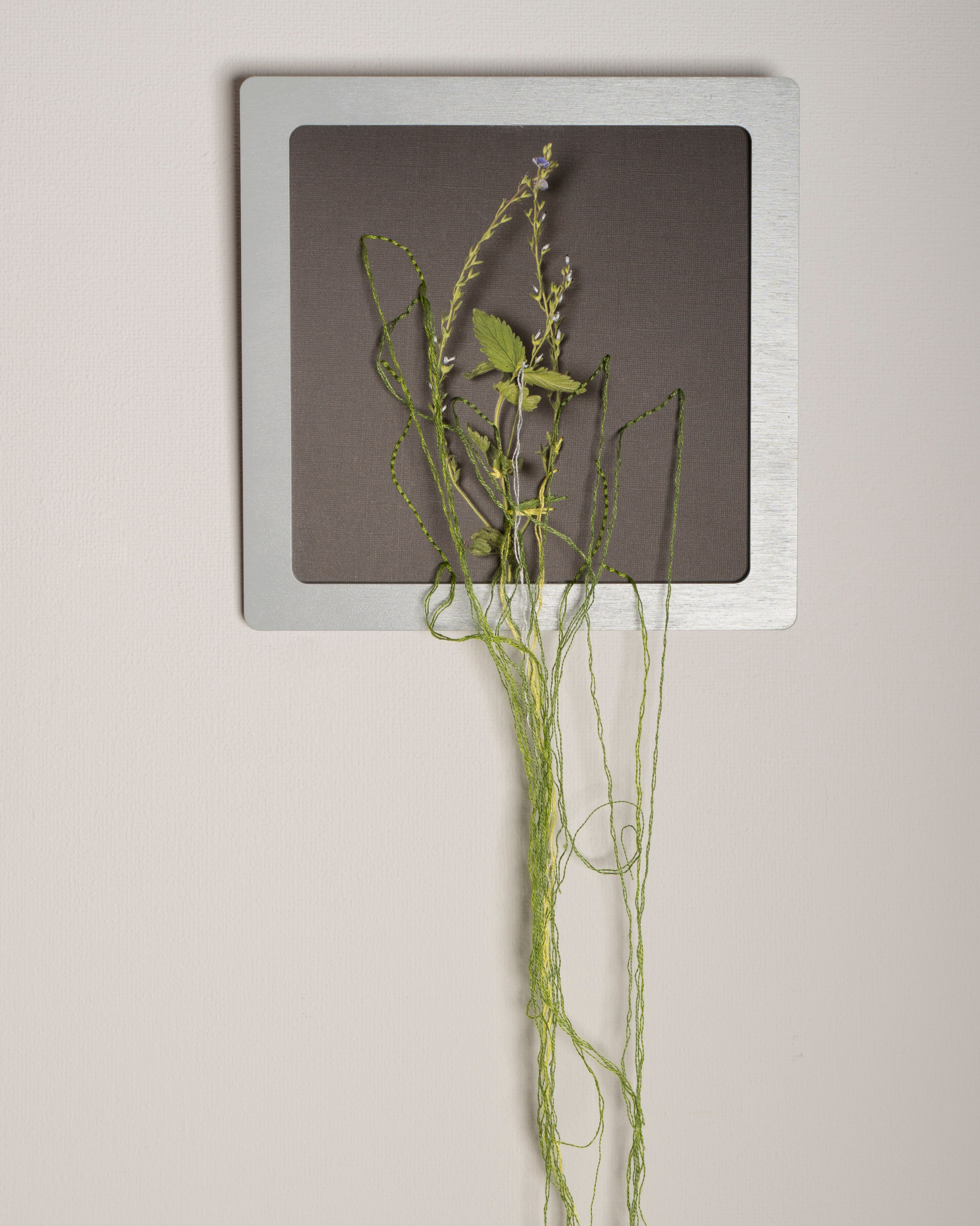 Работы приобрести. Фотохудожник АРТ-фотограф Ира Будниченко Москва