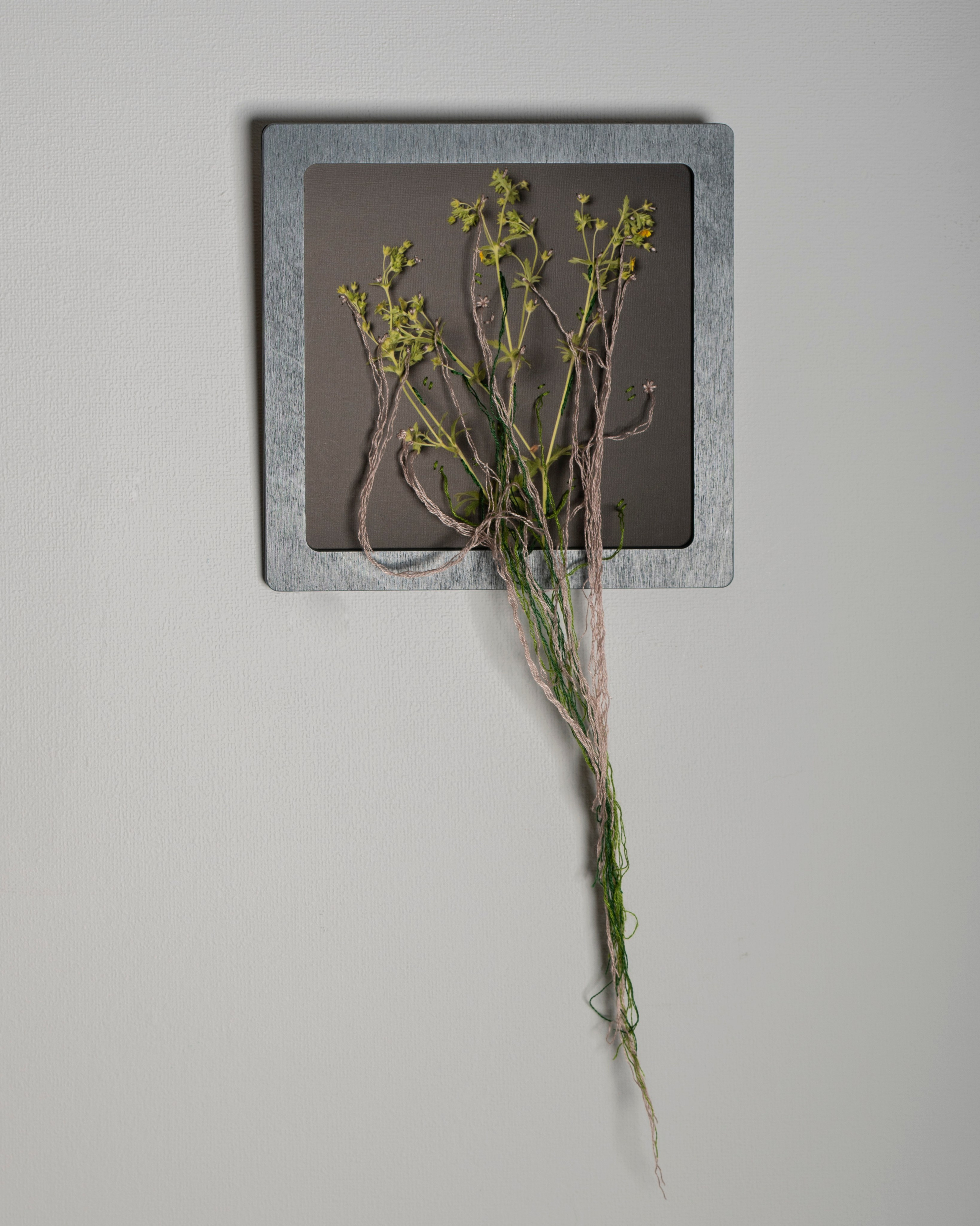 Работы приобрести. Фотохудожник АРТ-фотограф Ира Будниченко Москва