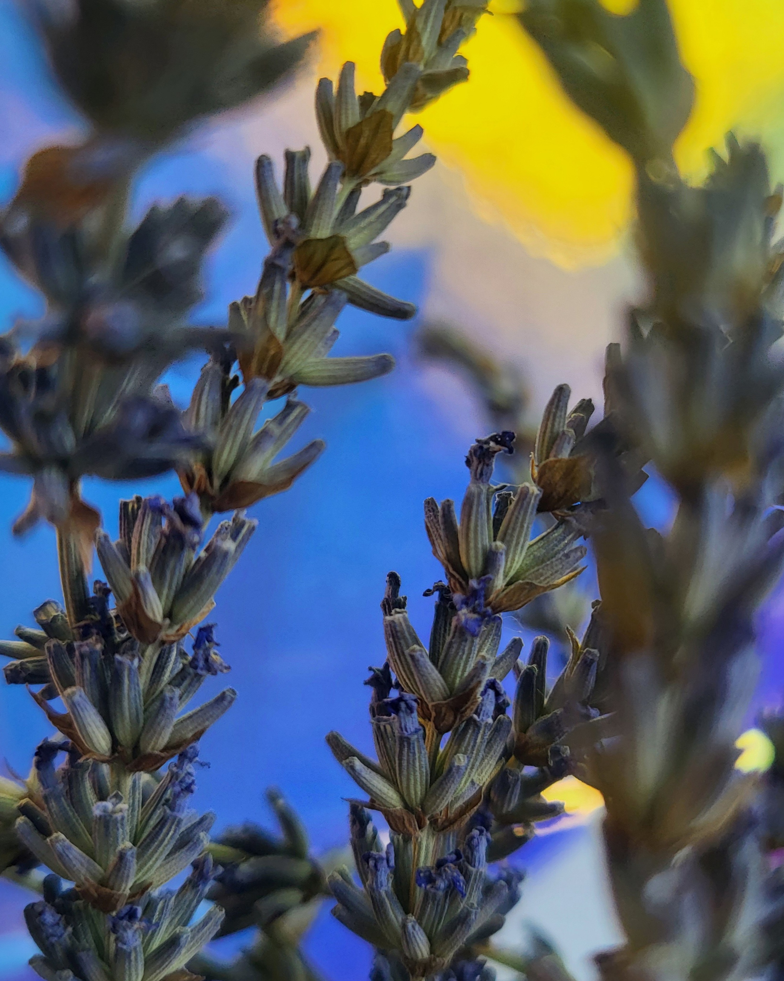 Усватова Екатерина. ARTEXPOPHOTO