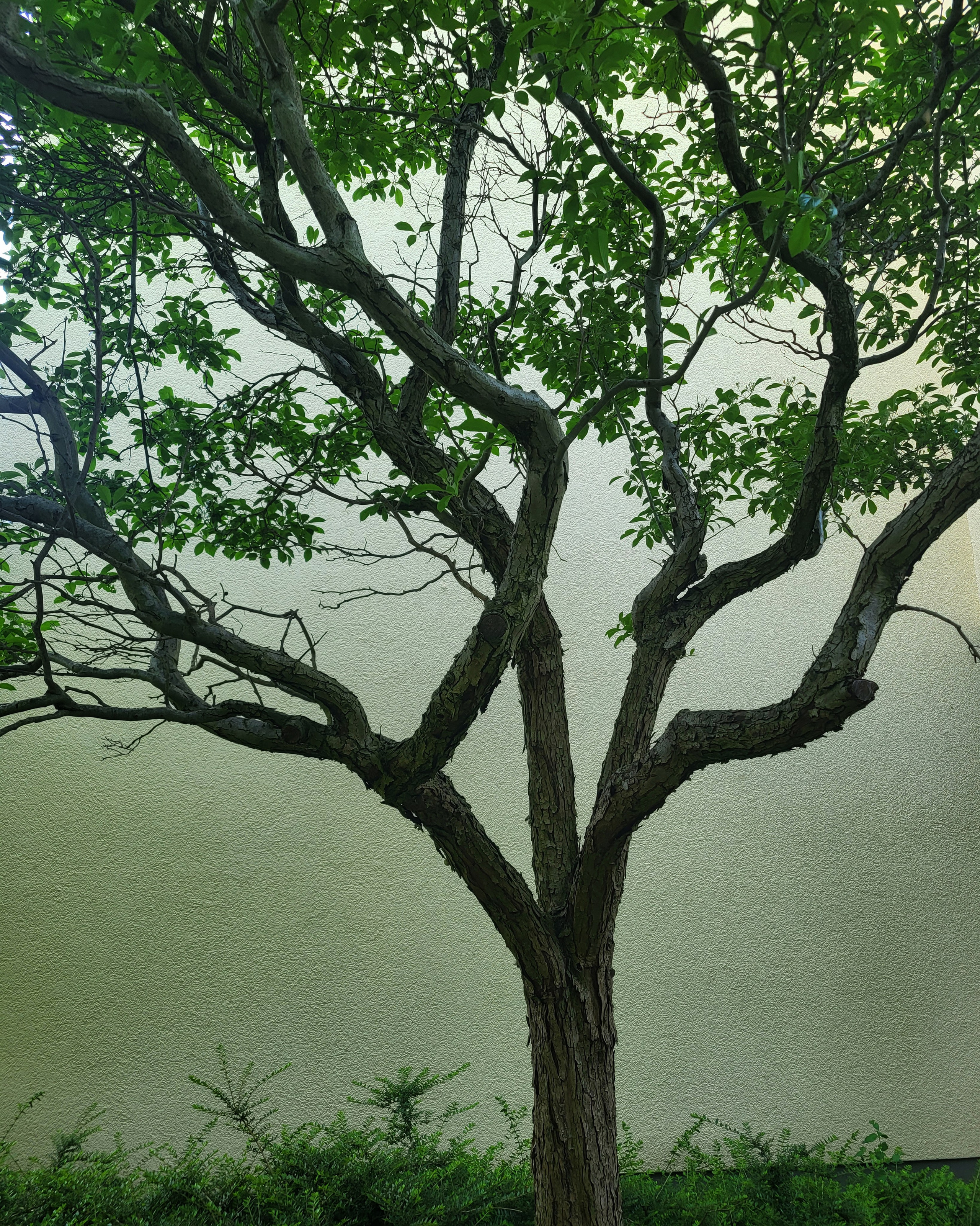 Усватова Екатерина. ARTEXPOPHOTO