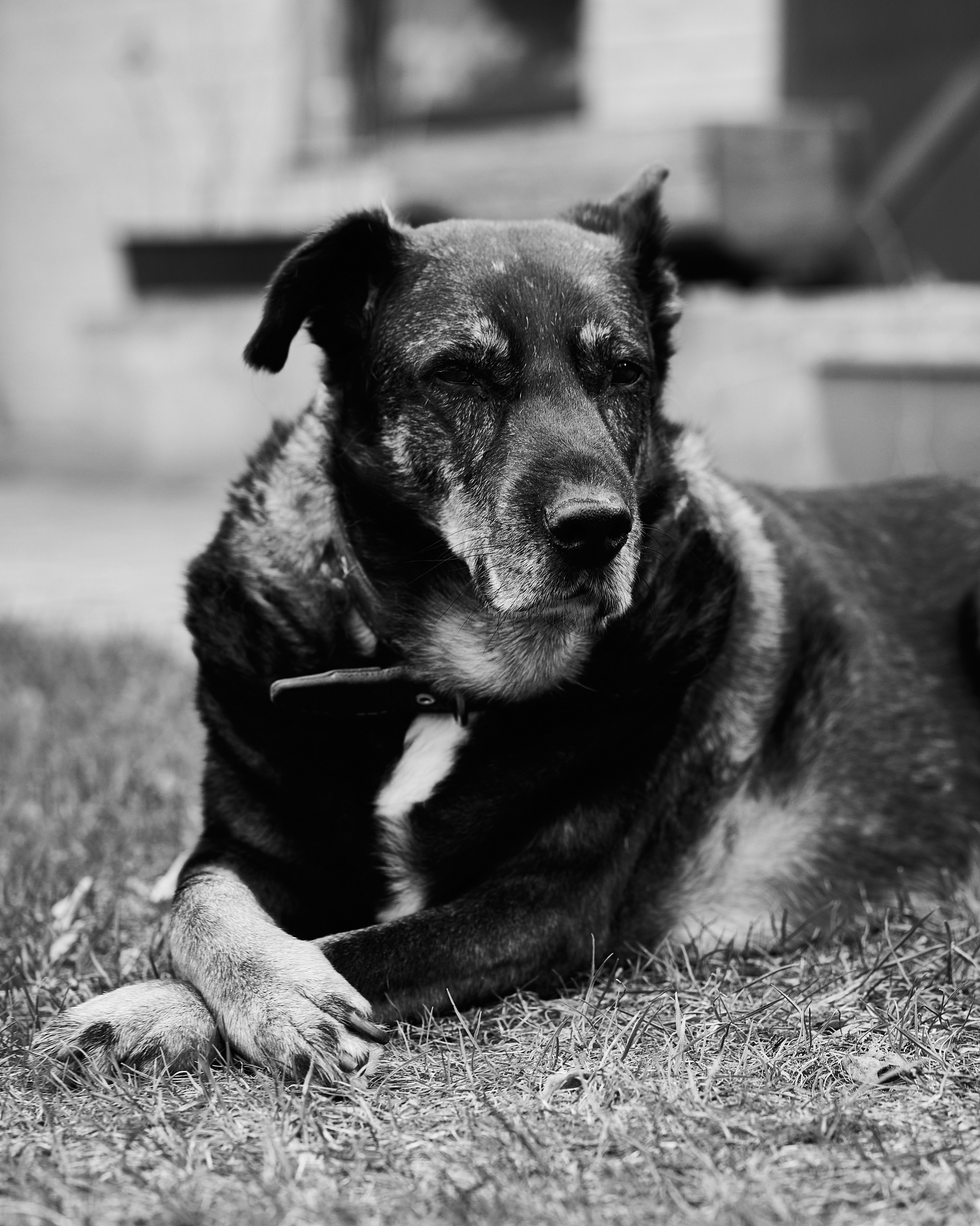 Снова Светлогорск. Фотограф в Москве Анастасия Баева