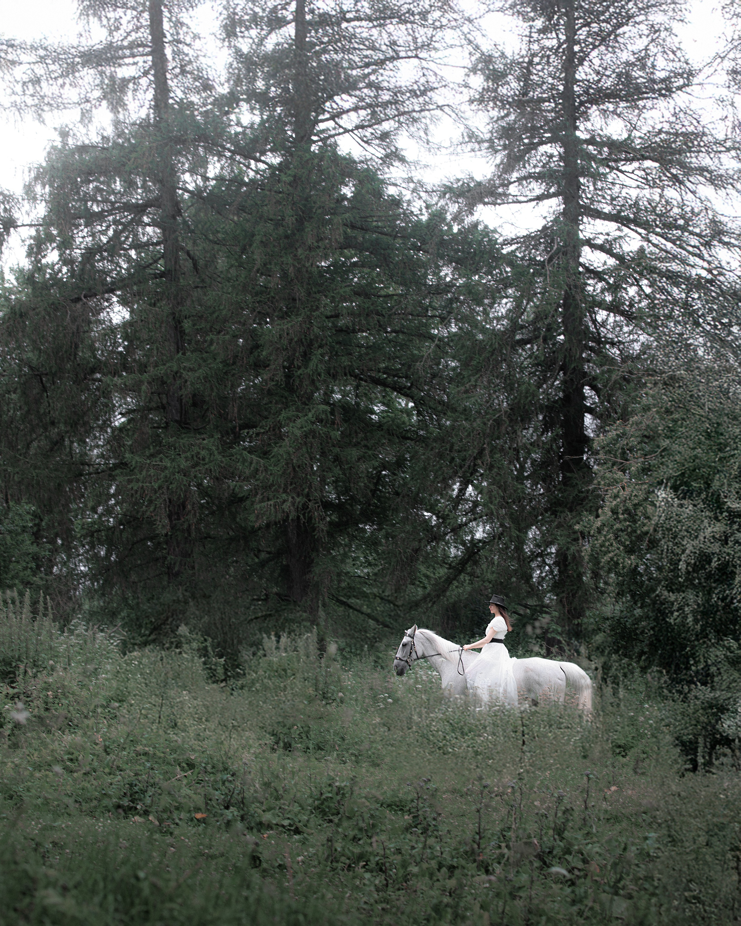 Как проходит фотосессия с лошадью: путь от заявки до готовых фотографий. Конный фотограф Яна Орлова. Фотосессии с лошадьми в Санкт-Петербурге