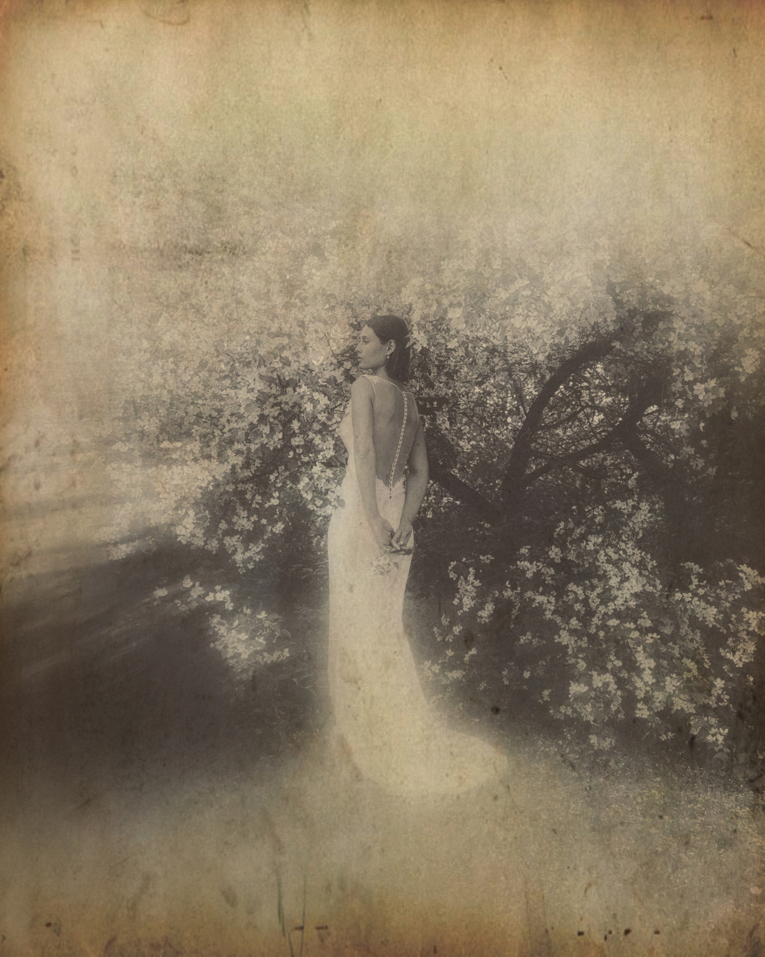 Свадебный проект «РОМЕО И ДЖУЛЬЕТТА». Фотограф в Омске Екатерина Павлова